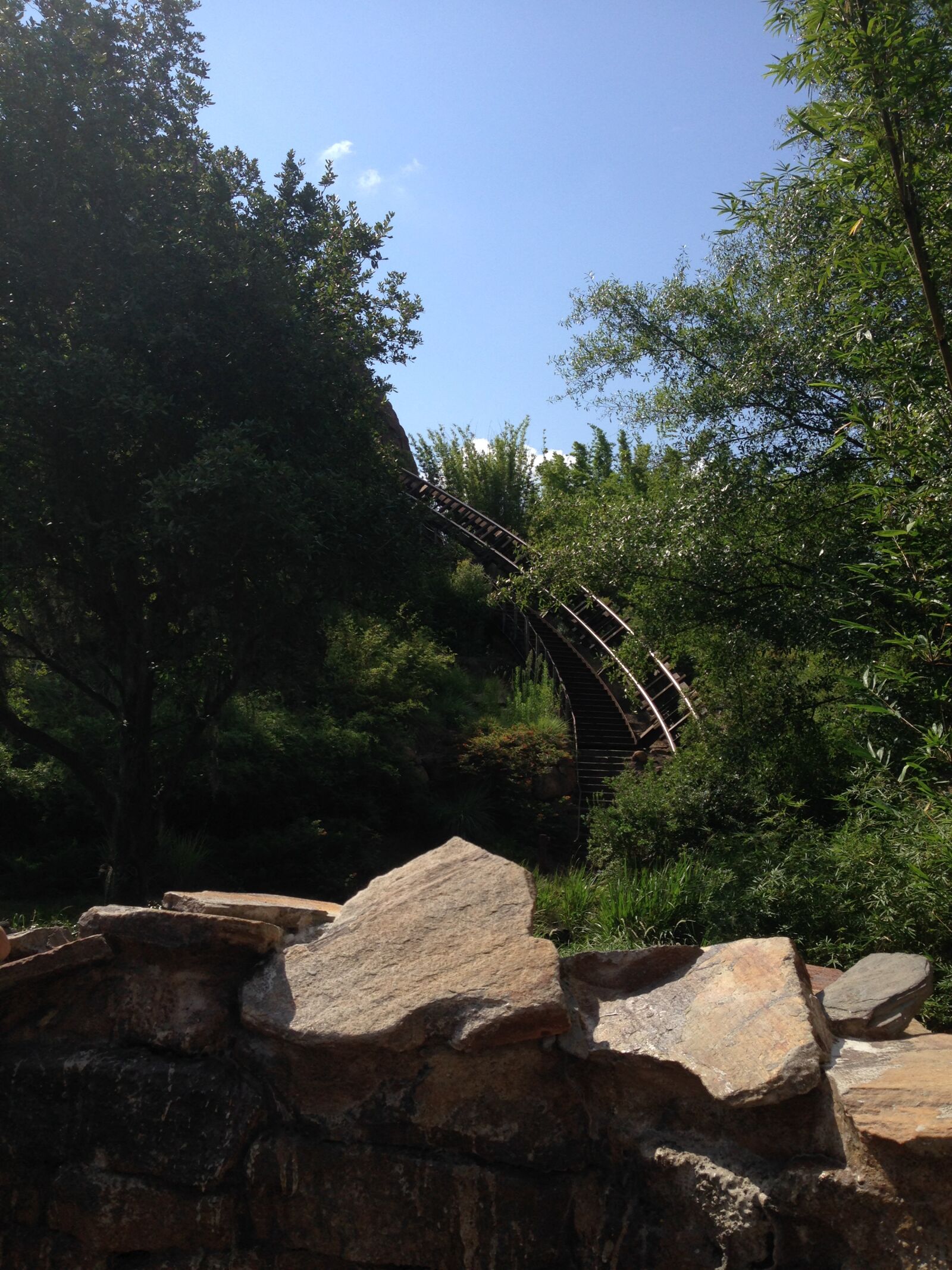 iPhone 5 back camera 4.12mm f/2.4 sample photo. Rollercoaster, trees, rocks photography