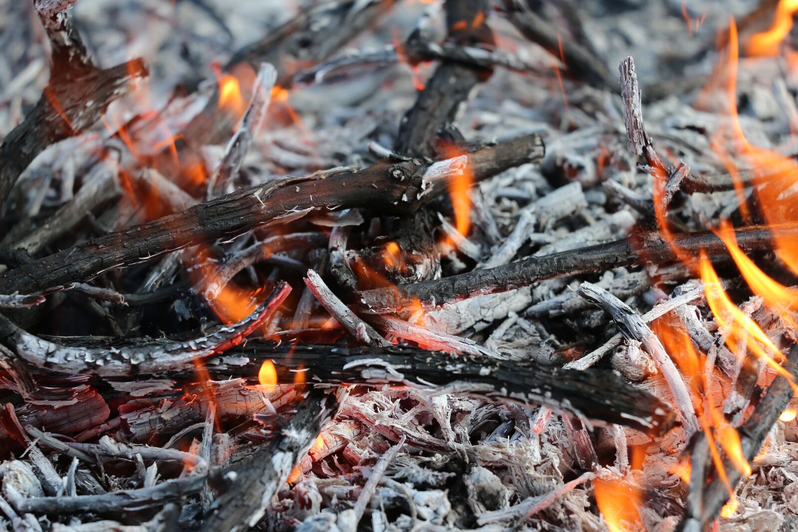Canon EF 70-300 F4-5.6 IS II USM sample photo. Careful with fire, site photography