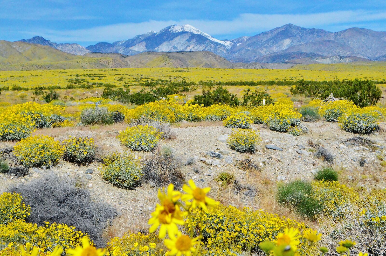 Nikon D5100 sample photo. Landscape, meadow, field photography