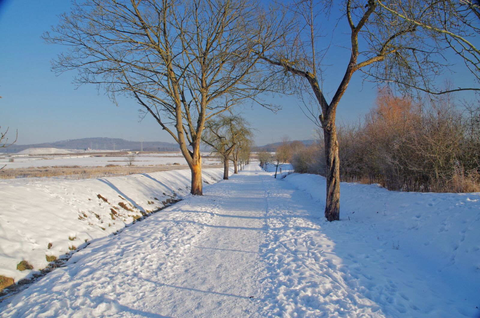 Pentax K-50 sample photo. Winter, snow, frost photography