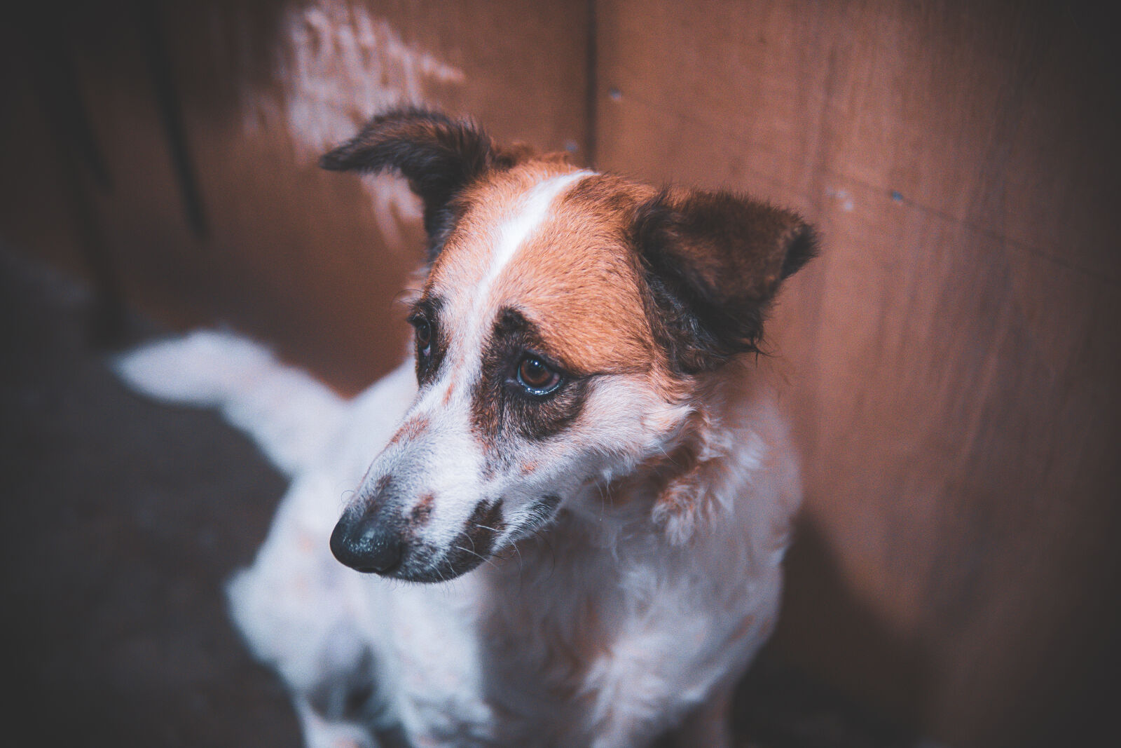 Sigma 30mm F1.4 DC DN | C sample photo