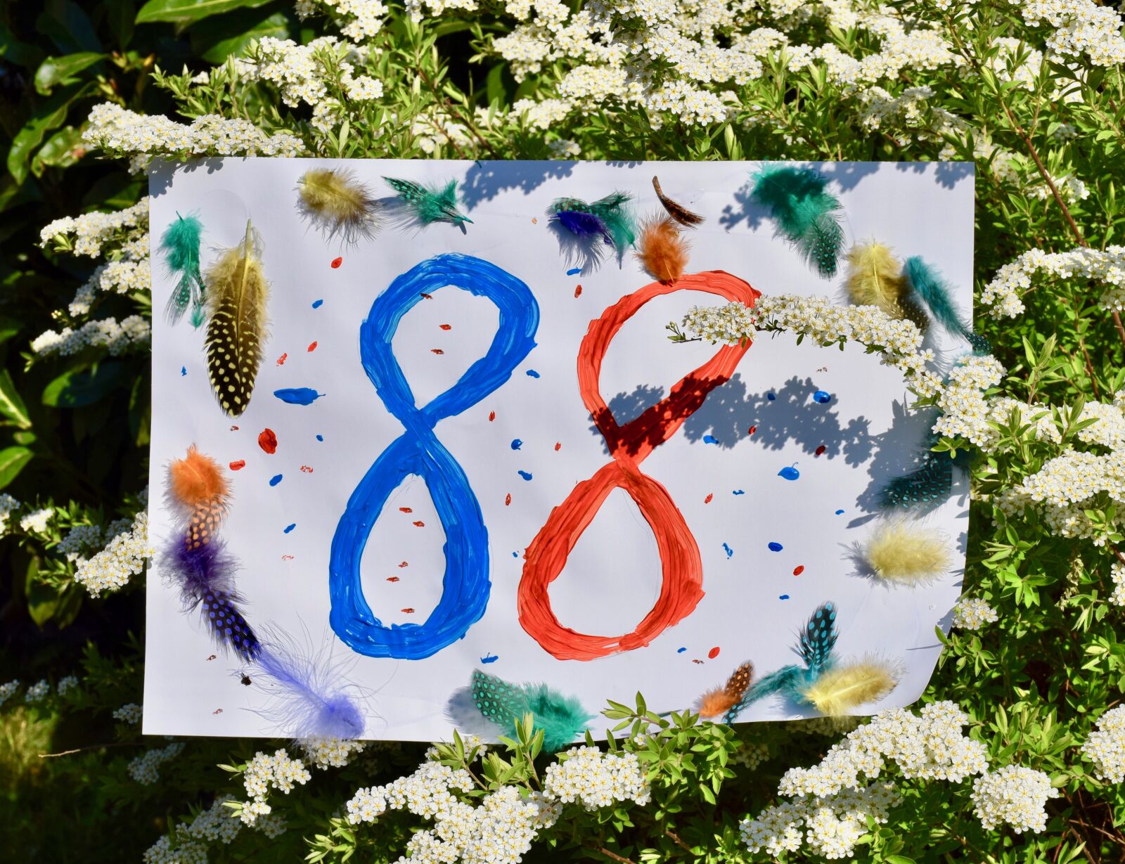 Nikon D5300 sample photo. Birthday, 88, flowers photography