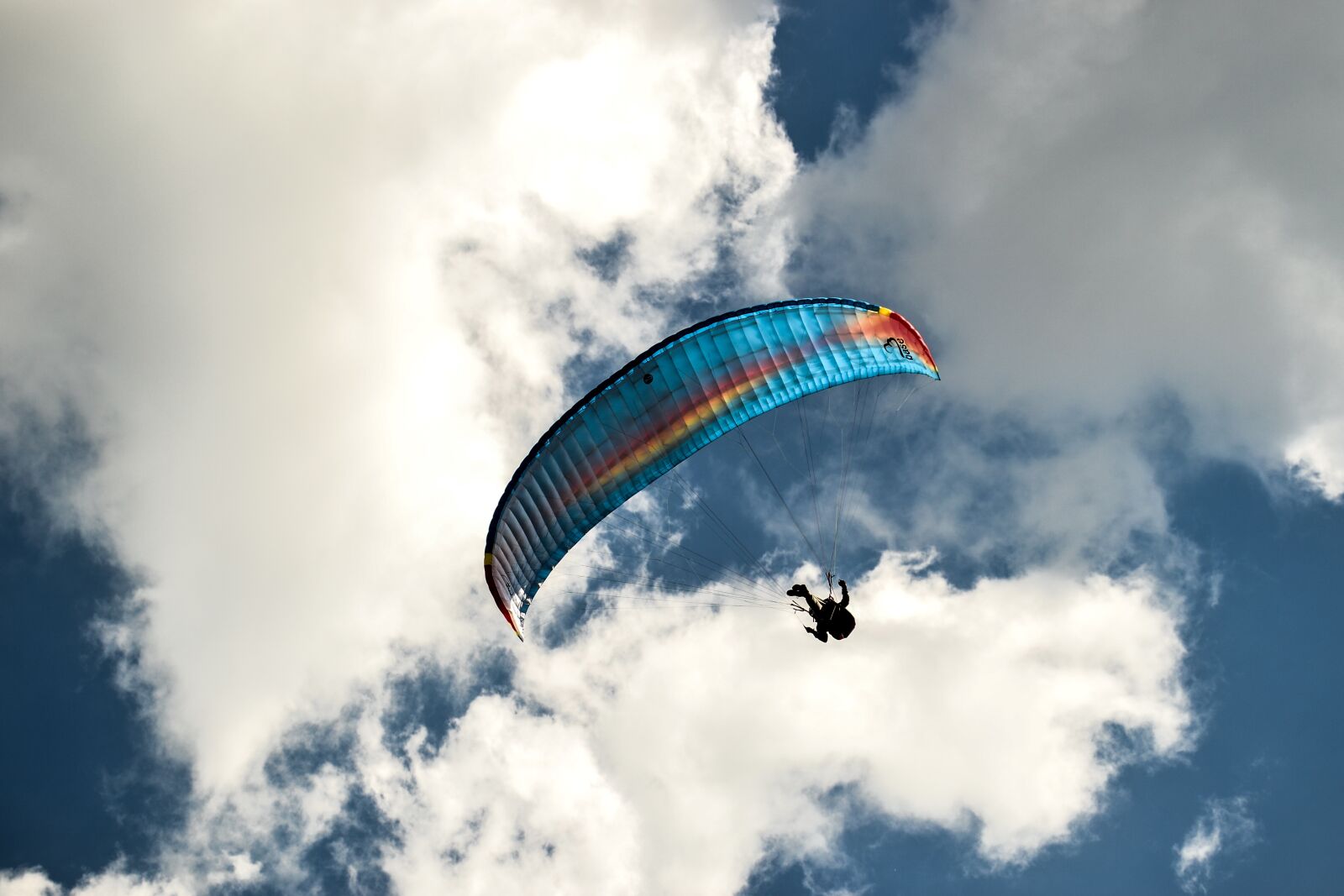Nikon D3100 sample photo. Parachute, sky, skydiving photography