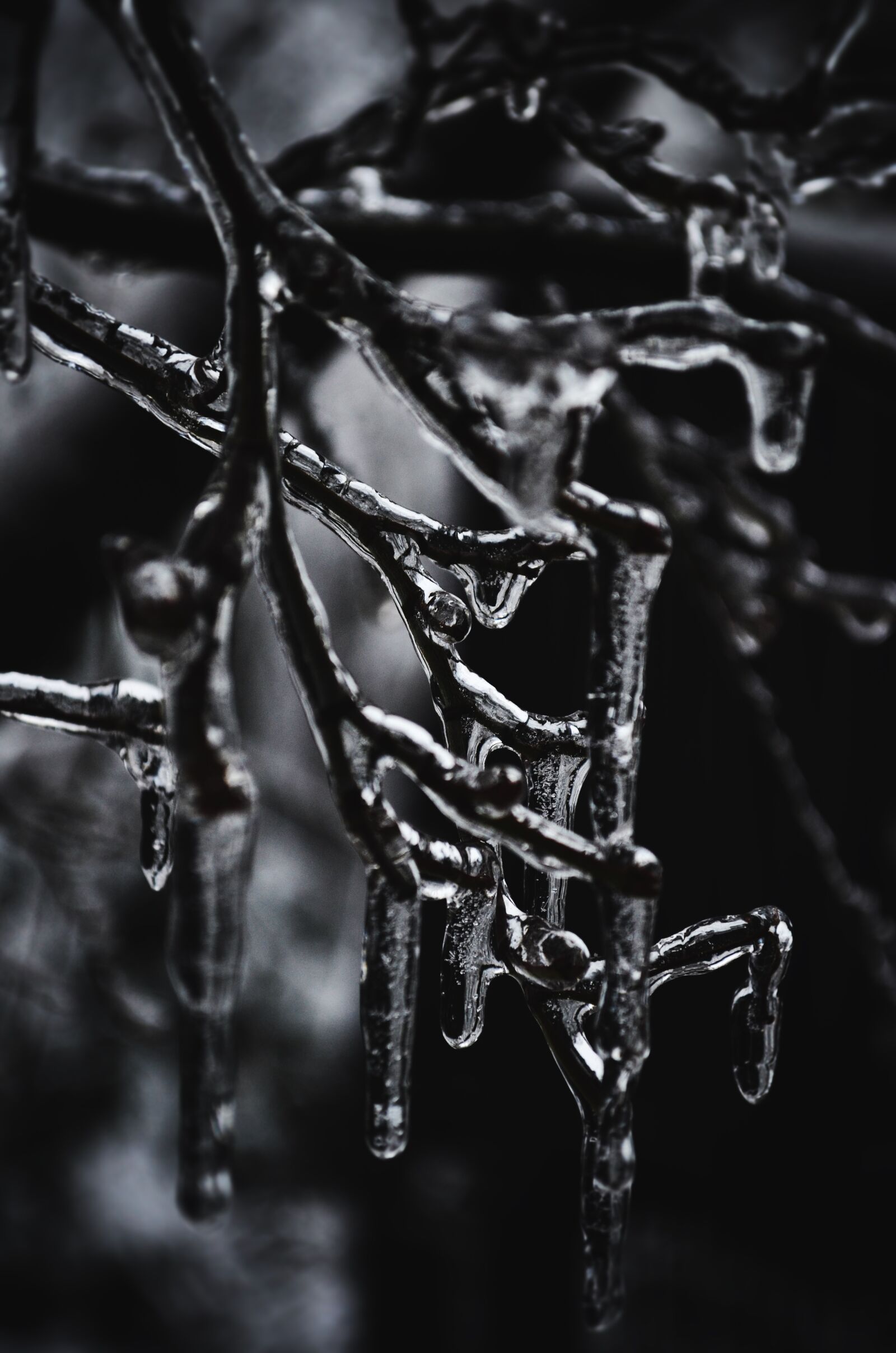 Nikon D5100 sample photo. Ice, icy, icicles photography