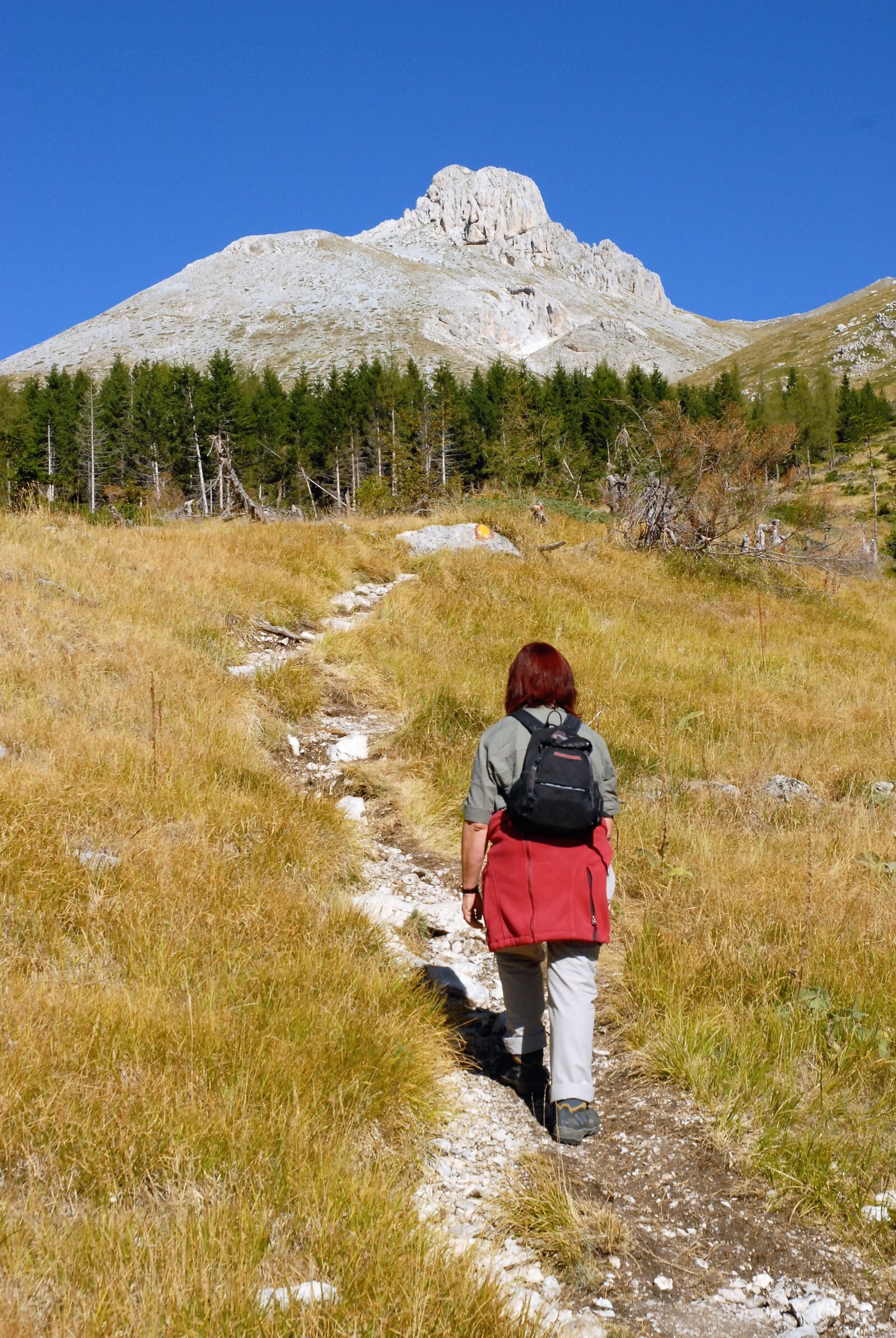 Nikon D200 sample photo. Trekking, hiking, mountain photography