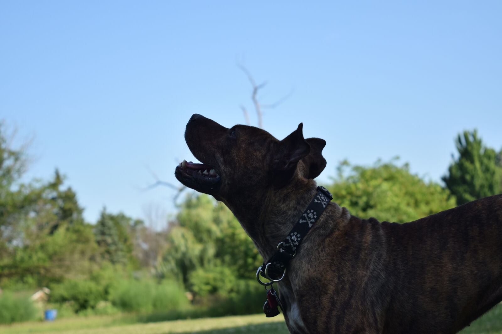 Nikon D3300 sample photo