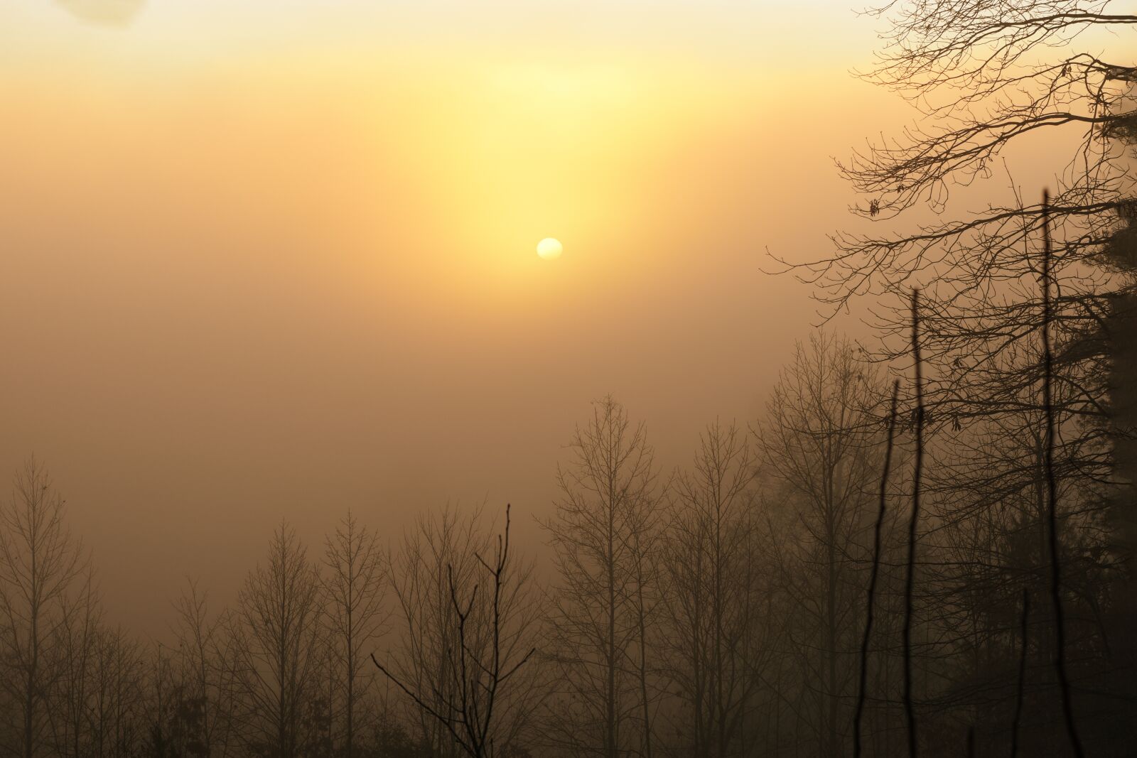 Nikon D7200 sample photo. Sunrise, morning, nature photography