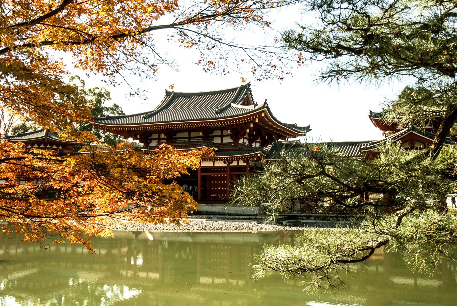 Nikon D80 sample photo. Japan, temple, uji photography