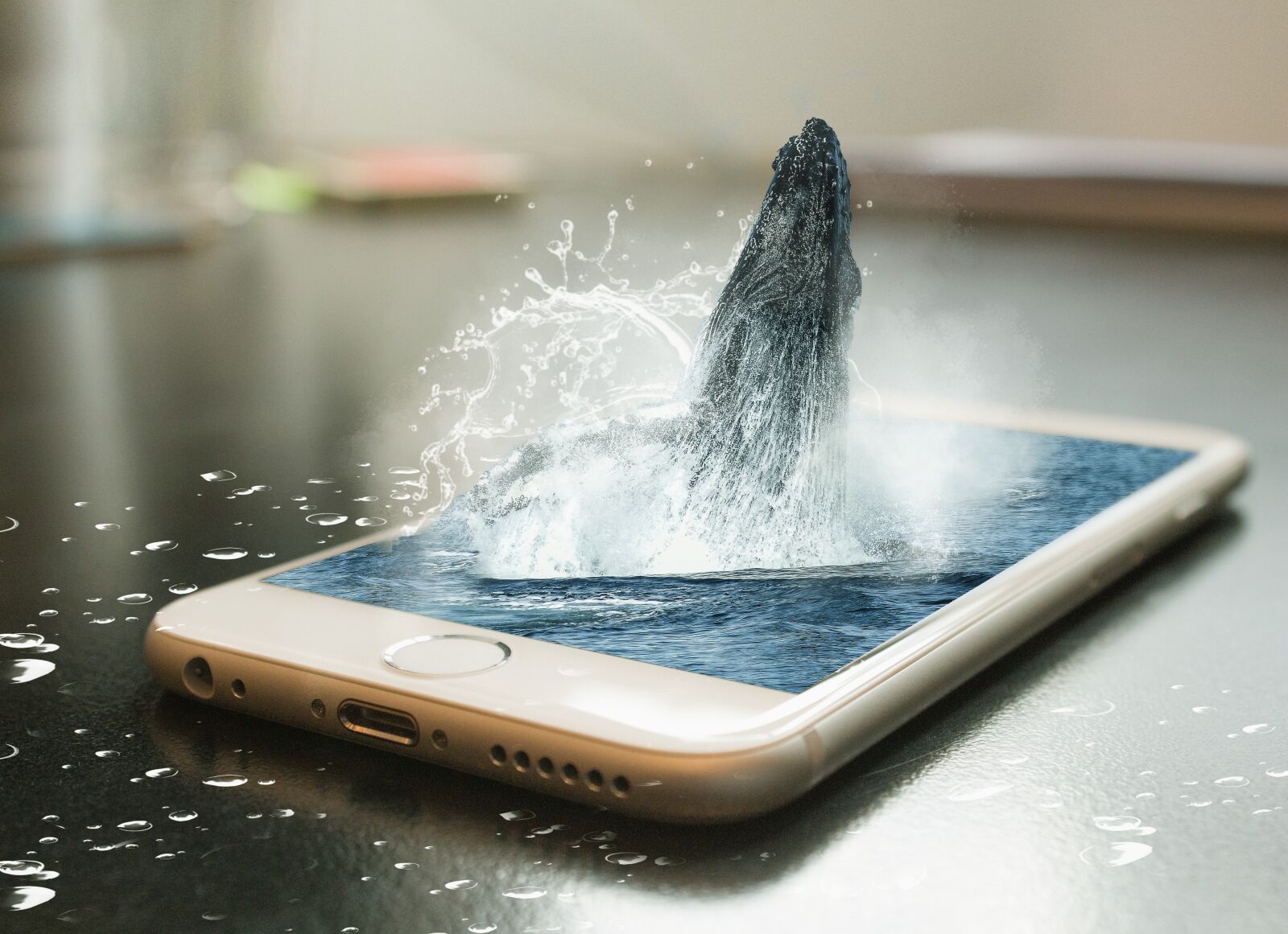 Canon EOS 650D (EOS Rebel T4i / EOS Kiss X6i) sample photo. Phone, whale, remix photography