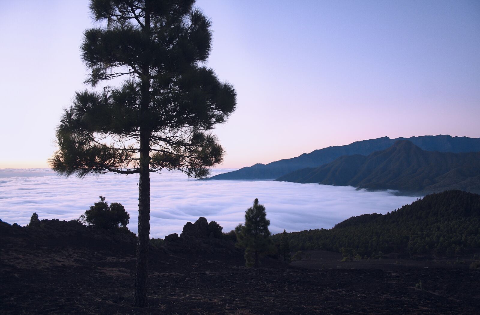 Canon EOS 400D (EOS Digital Rebel XTi / EOS Kiss Digital X) sample photo. Above the clouds, mountains photography