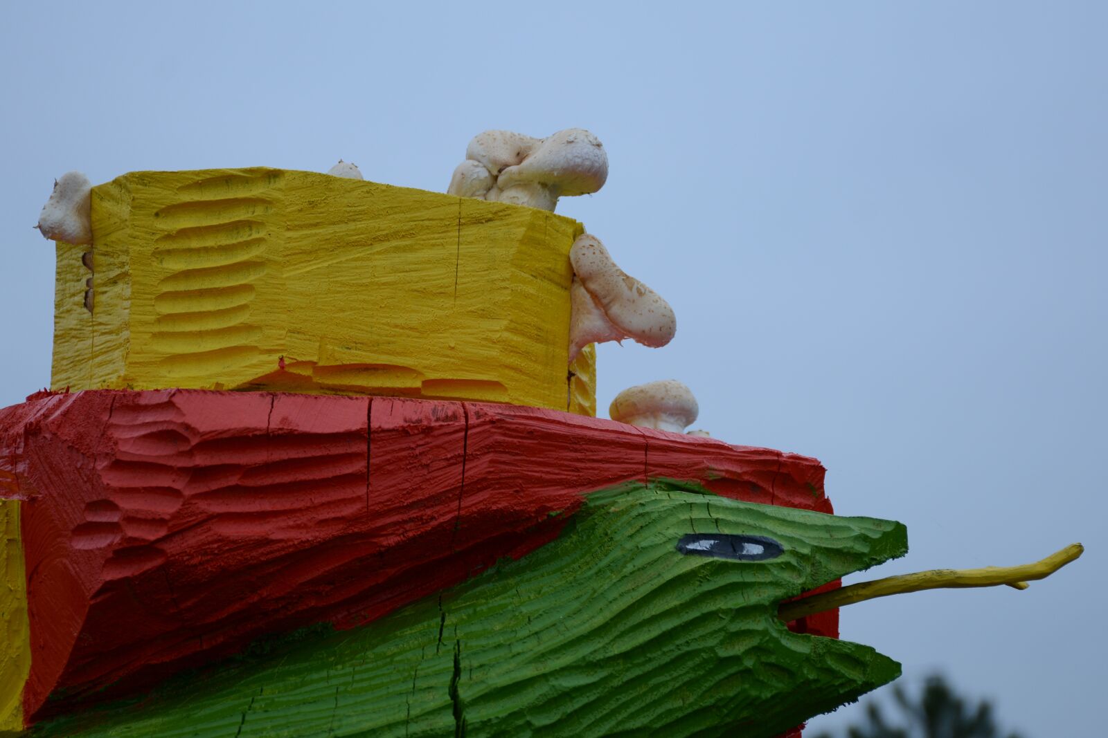 Nikon D7100 sample photo. Red, yellow, color photography