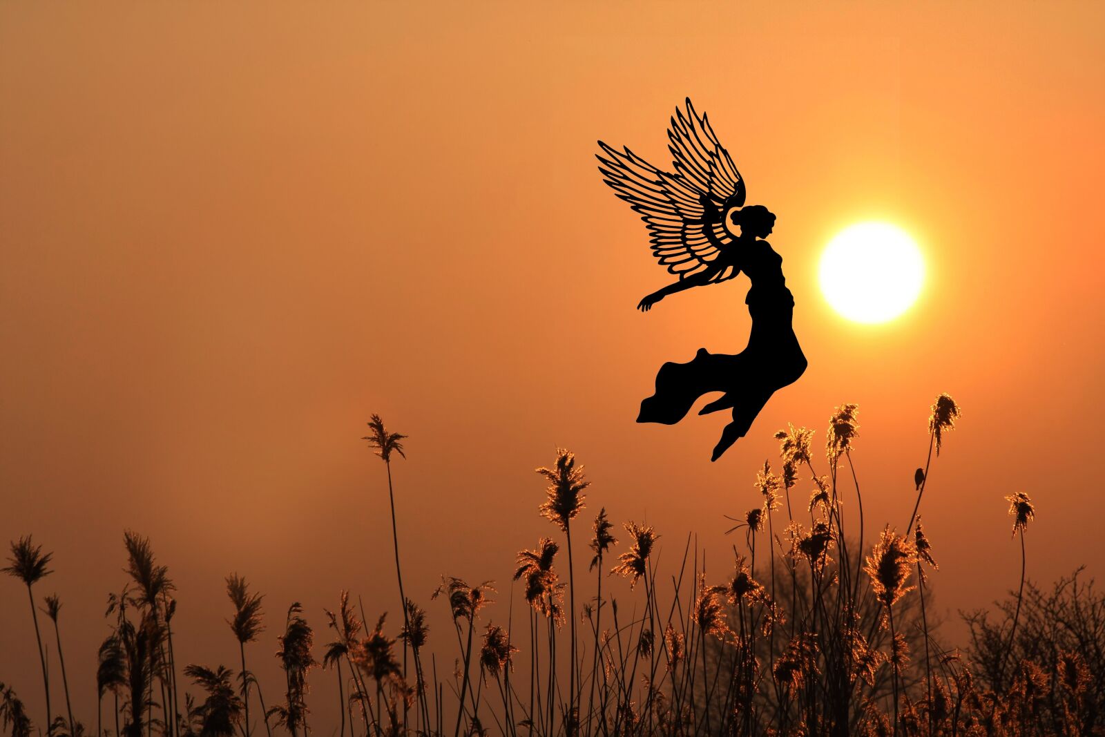 Canon EOS 40D sample photo. Sunset, sun, sky photography