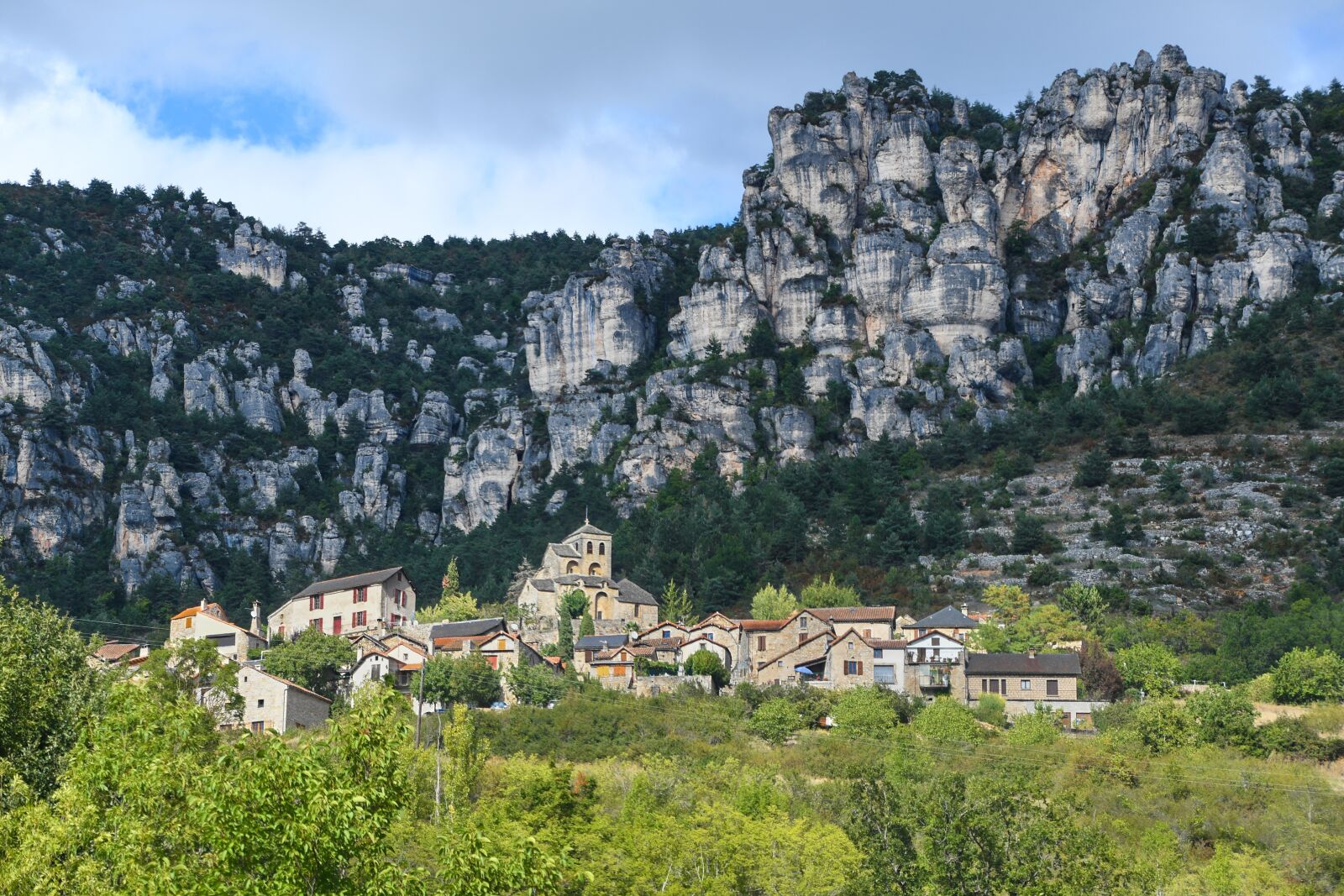 Nikon D500 sample photo. Village, rock, field photography