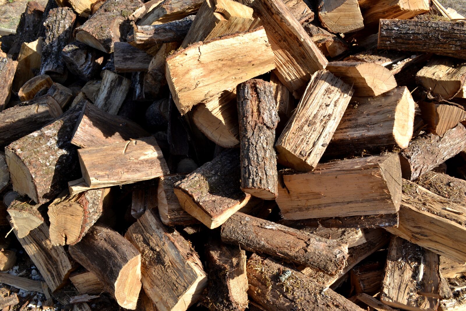 Nikon D3100 sample photo. Chocolate yule log, firewood photography