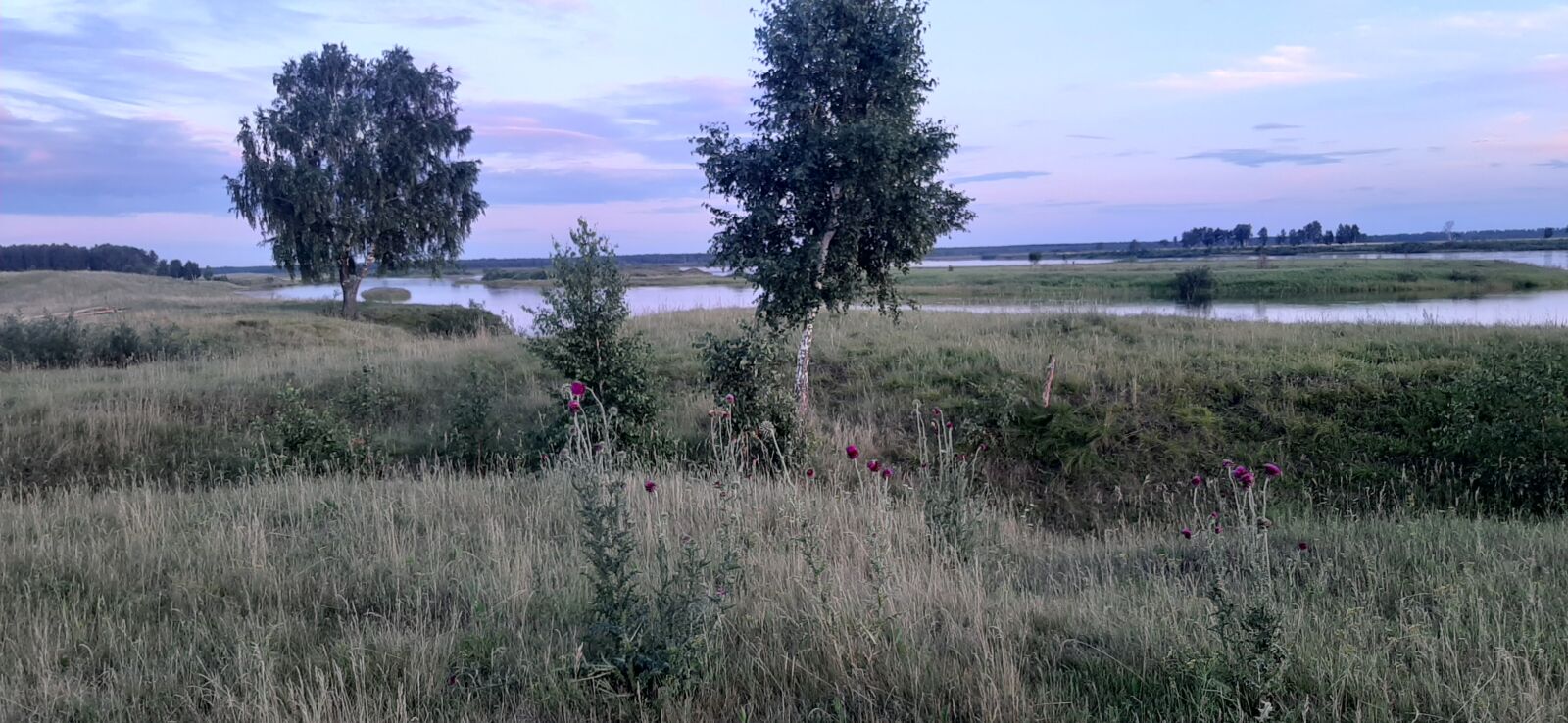 Samsung Galaxy A50 sample photo. Sky, landscape, grass photography