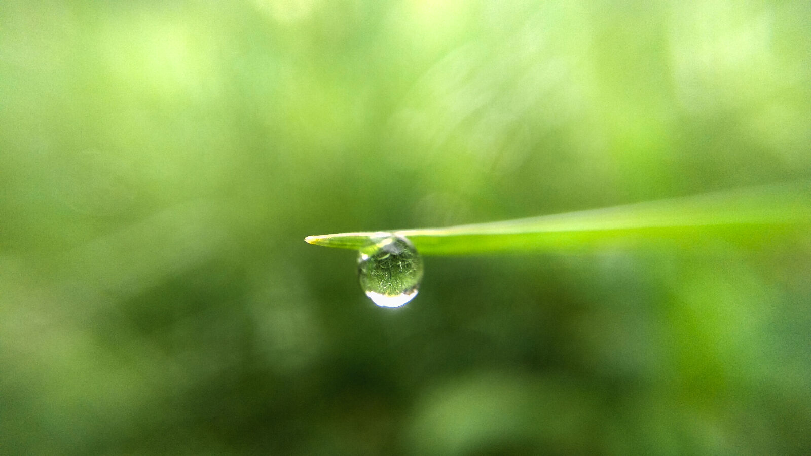 Xiaomi Redmi Note 4 sample photo. Water, drop, on, green photography