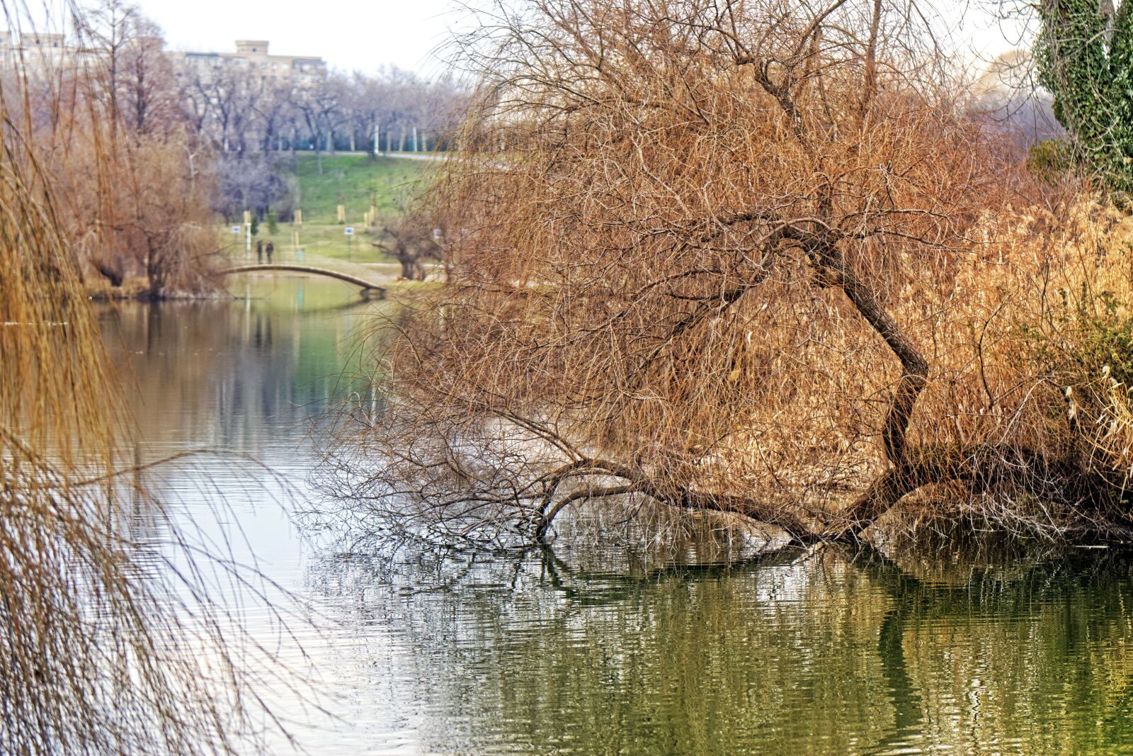Nikon D5300 sample photo. Landscape, nature, lake photography