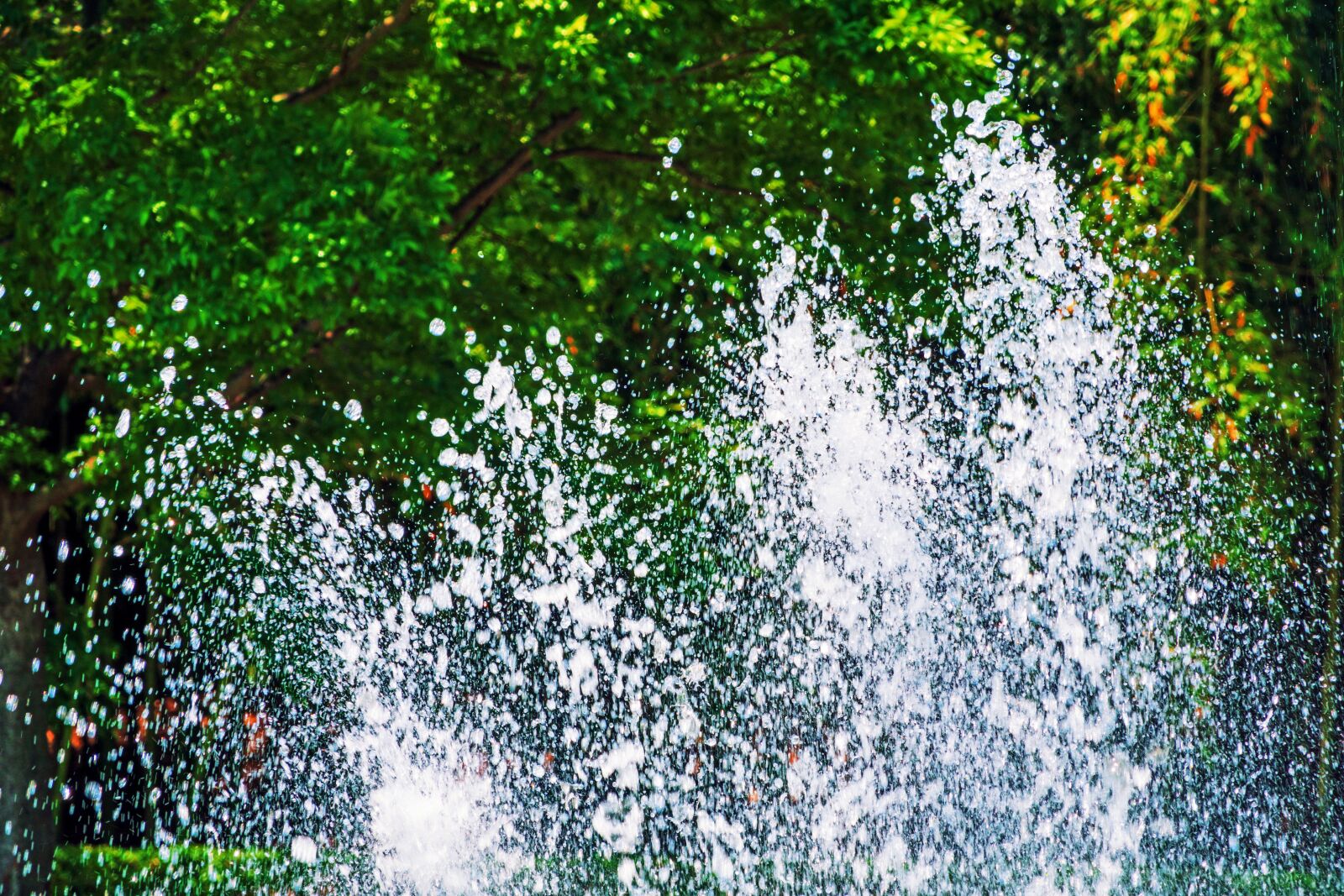 Sony Cyber-shot DSC-RX10 IV sample photo. Fountain, water photography