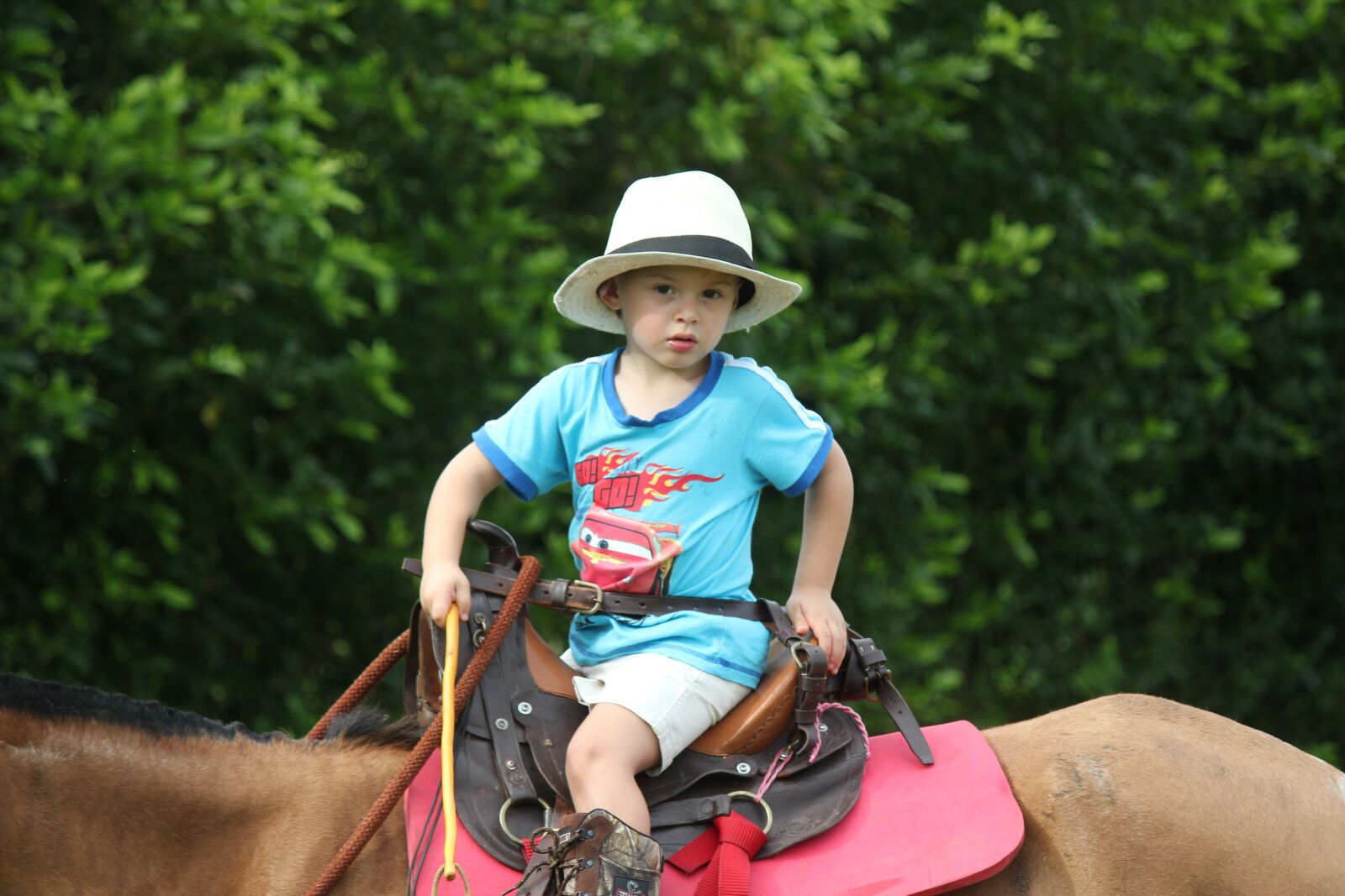Canon EOS 550D (EOS Rebel T2i / EOS Kiss X4) sample photo. Child, horse, hat photography
