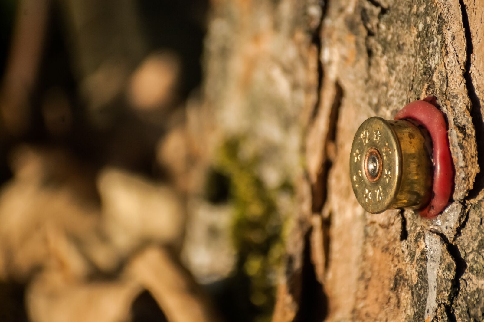 Nikon D40 sample photo. Cartridge, hunting, melted photography