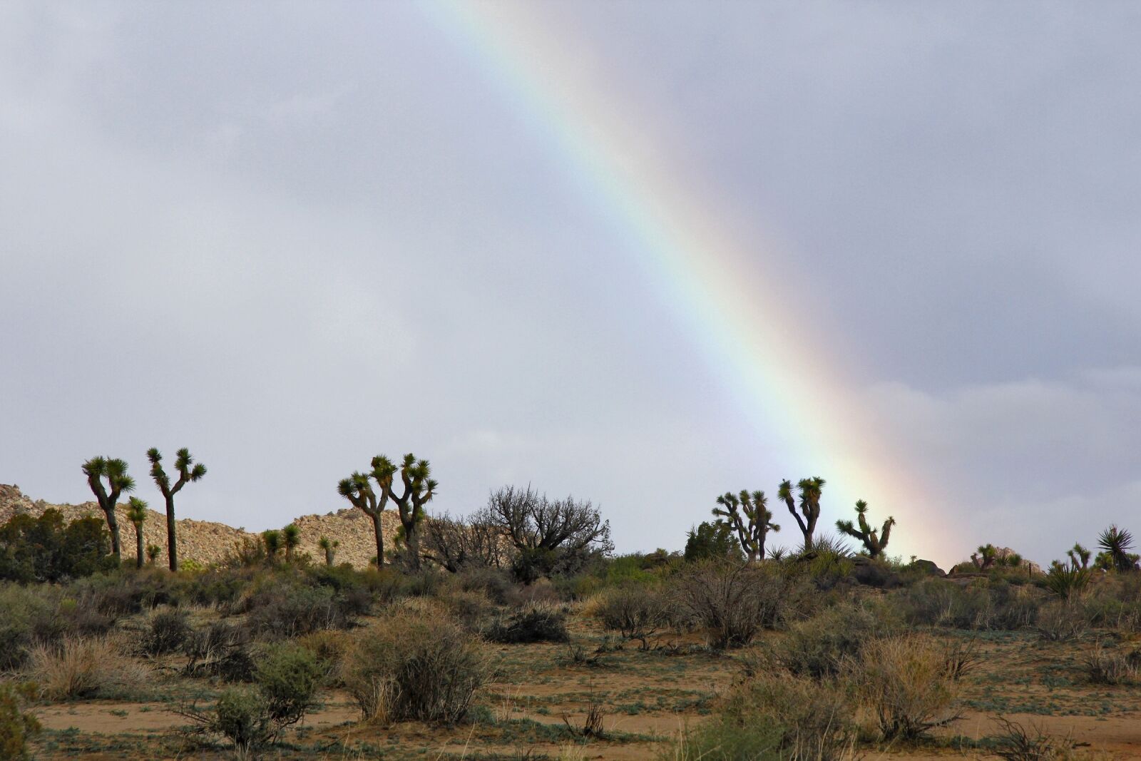 Canon EOS 550D (EOS Rebel T2i / EOS Kiss X4) sample photo. Landscape, rainbow, scenic photography
