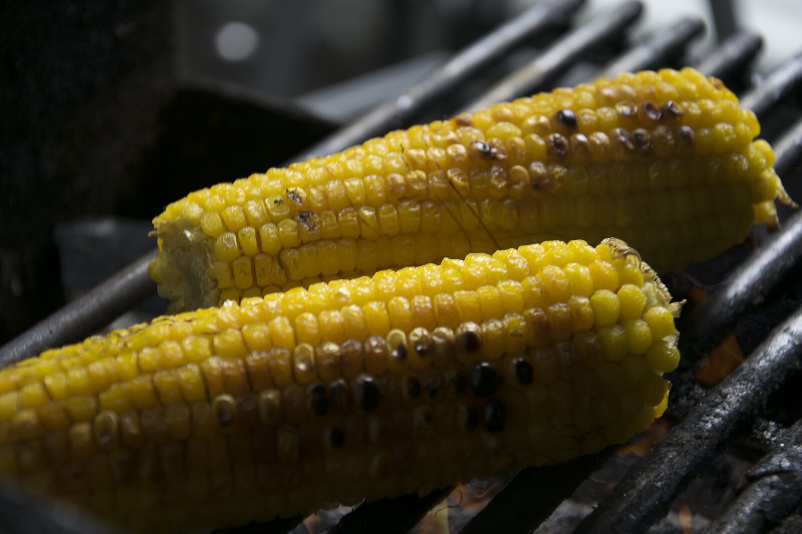 Nikon D5300 sample photo. Corn, on the grill photography