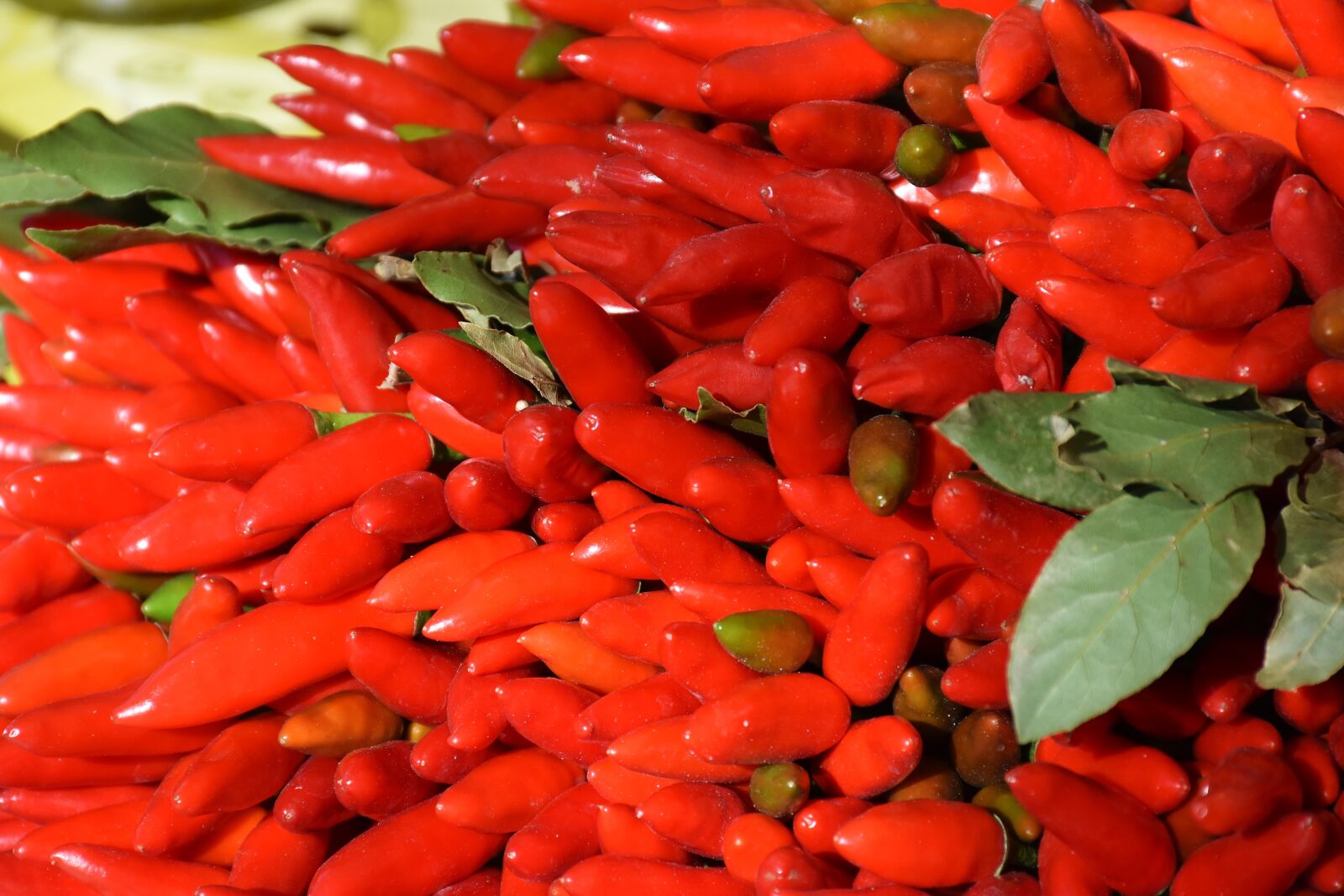 Nikon D7200 sample photo. Chili, food, healthy photography