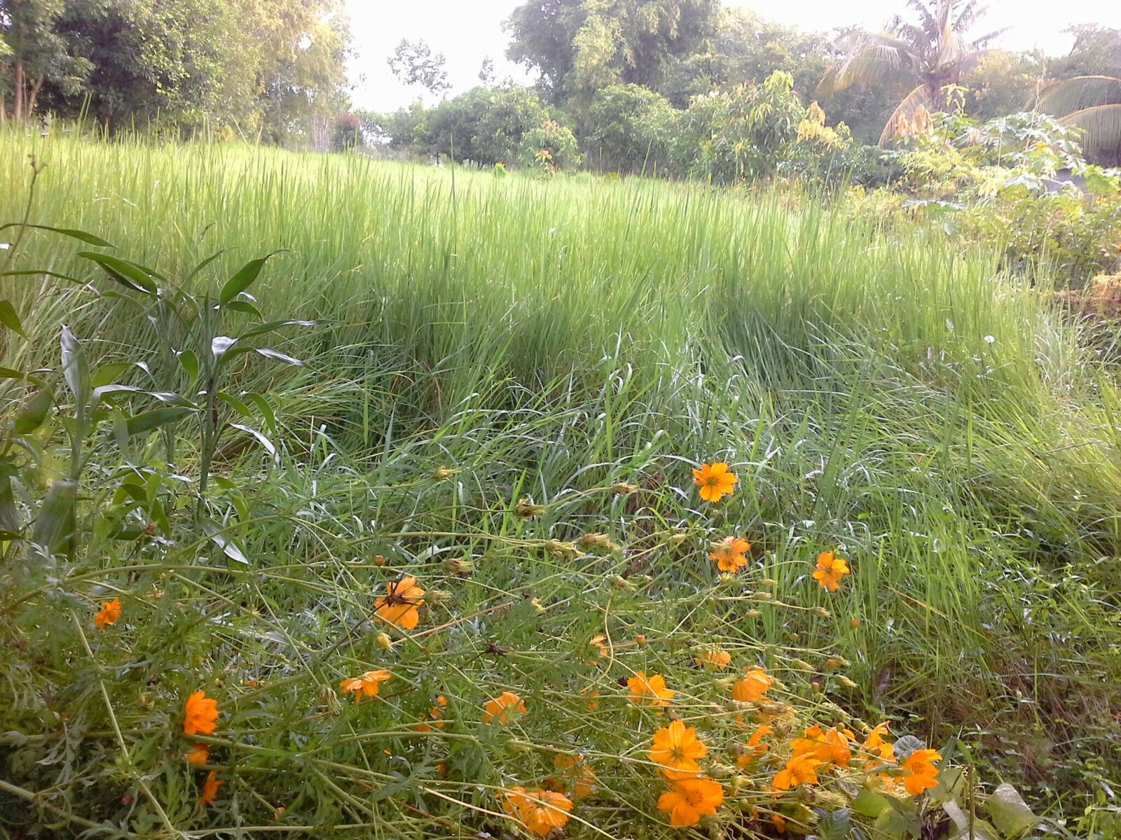 Samsung Galaxy Note 10.1 sample photo
