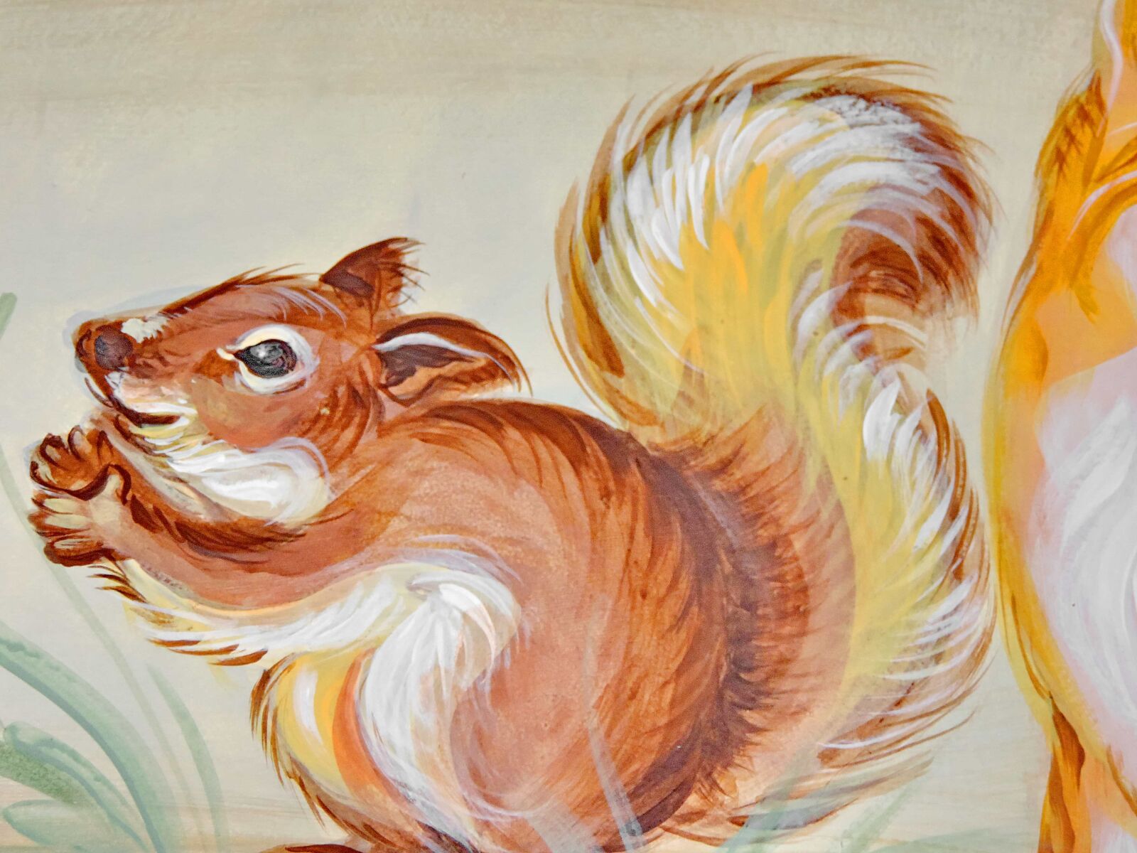 Nikon Coolpix P520 sample photo. Design, graphic, squirrel, art photography