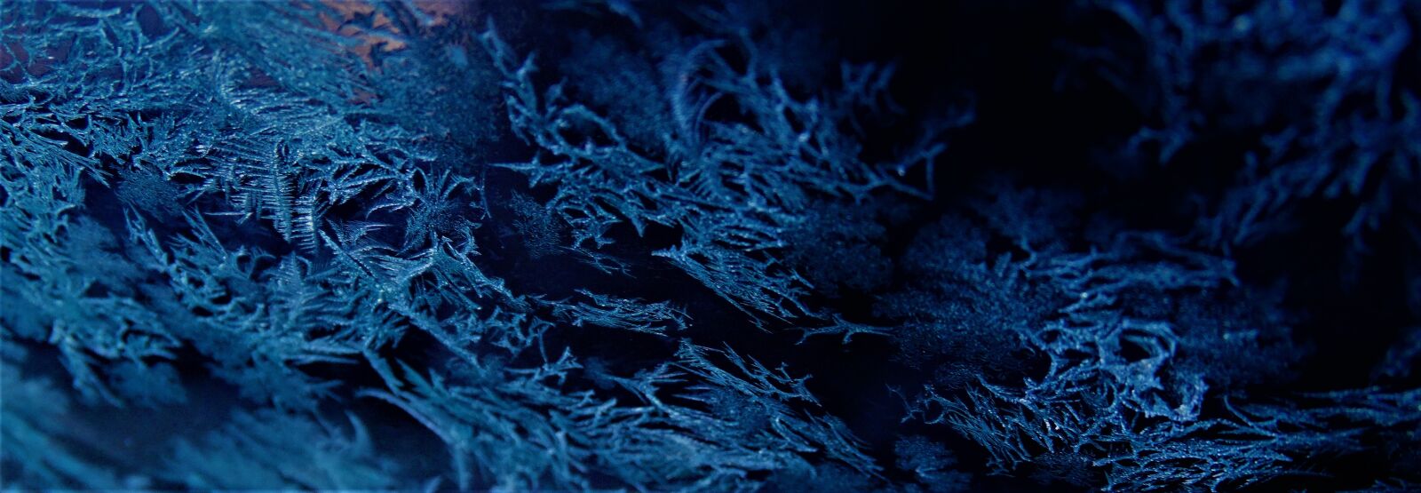 Sony Cyber-shot DSC-HX300 sample photo. Frost, cold, winter photography