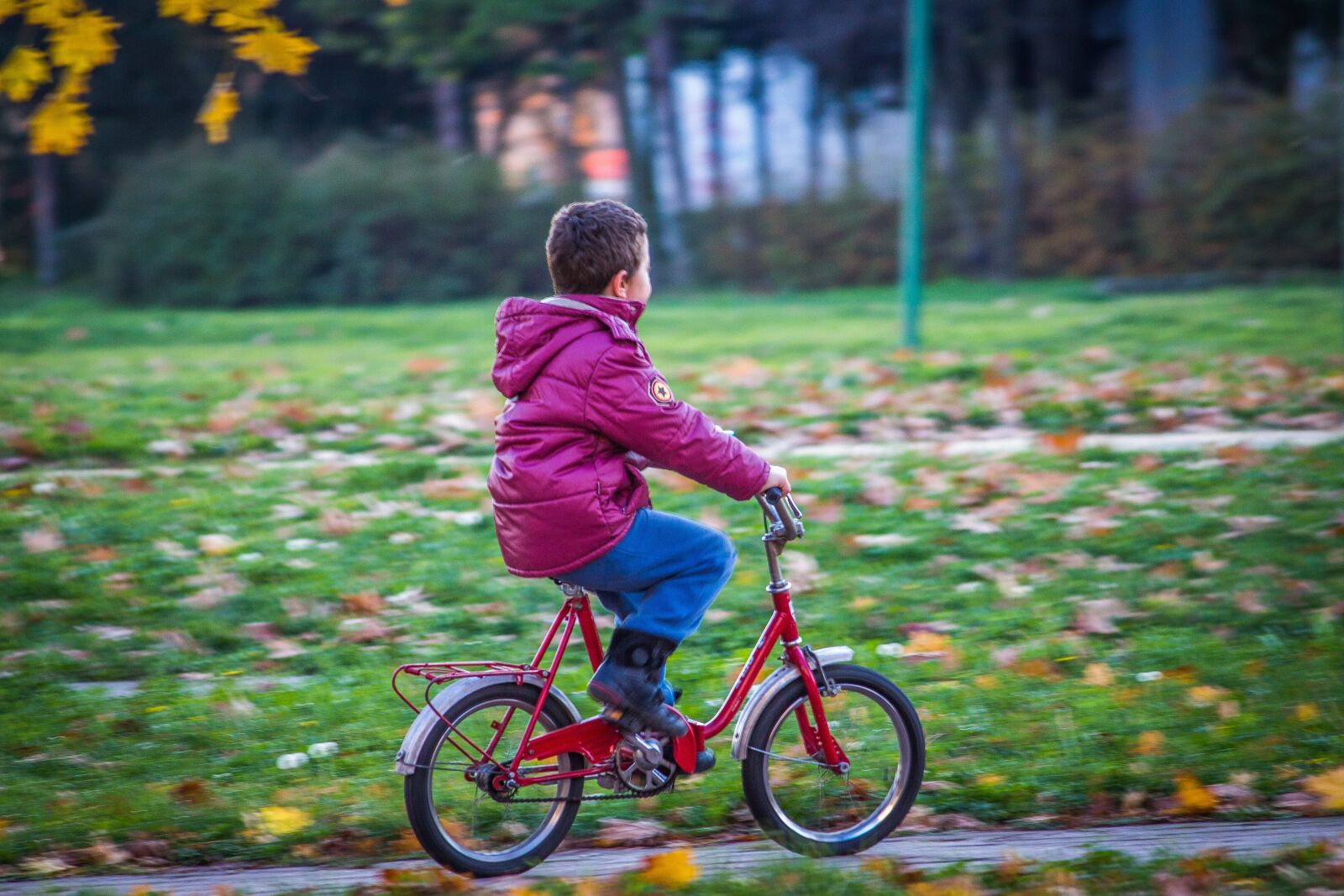 Canon EOS 700D (EOS Rebel T5i / EOS Kiss X7i) sample photo. Kid, boy, bicycle photography