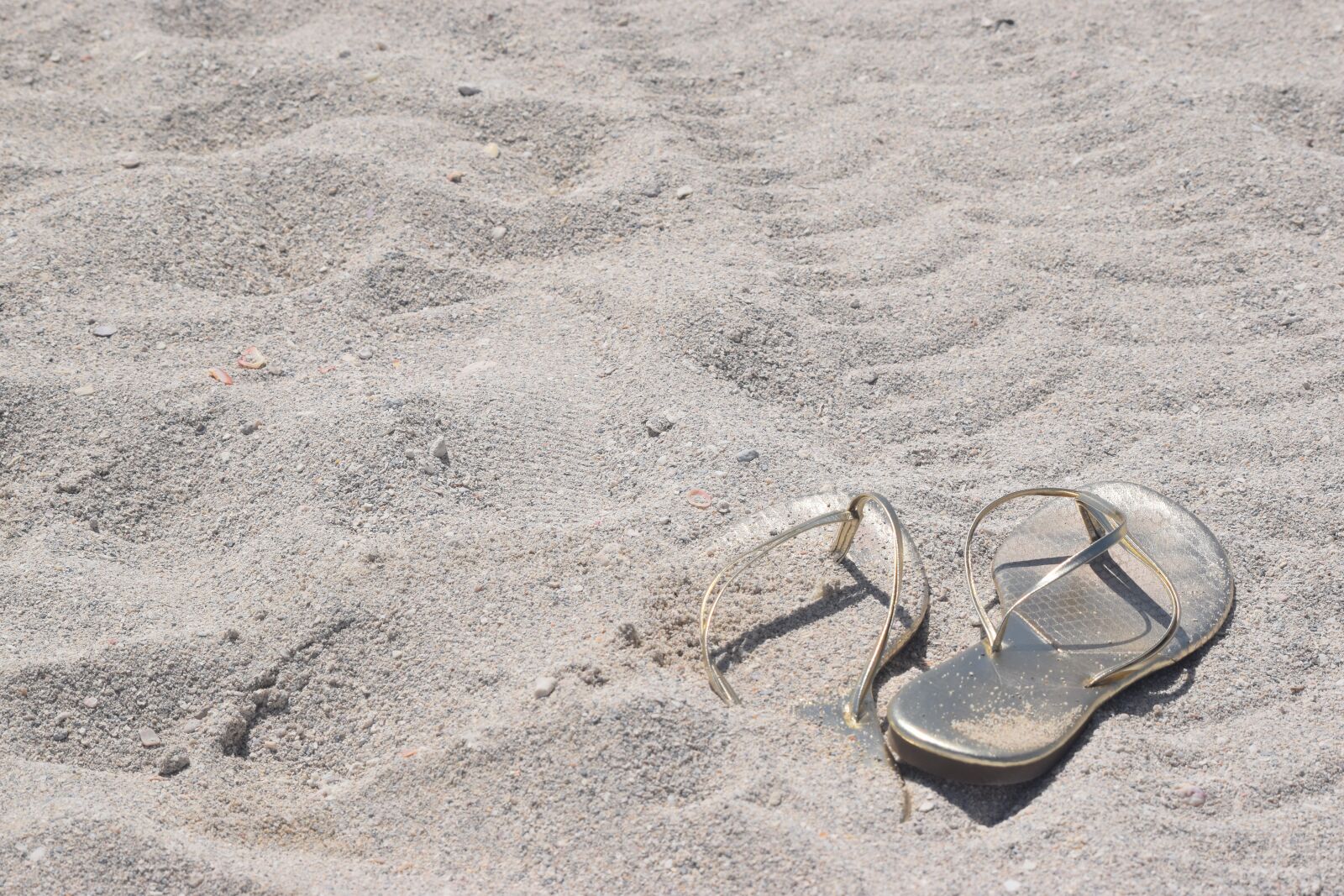 Nikon D3300 sample photo. Beach, sand, gold photography
