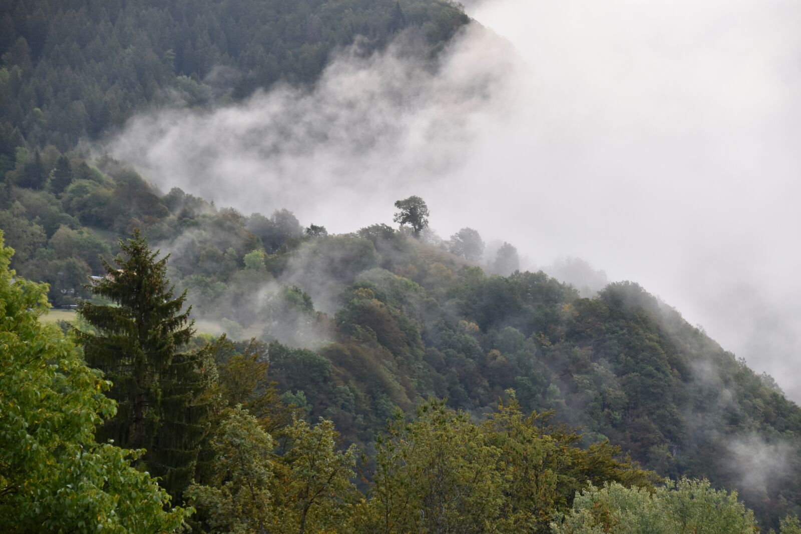 Nikon D5600 sample photo. Mountain landscape misty, mist photography