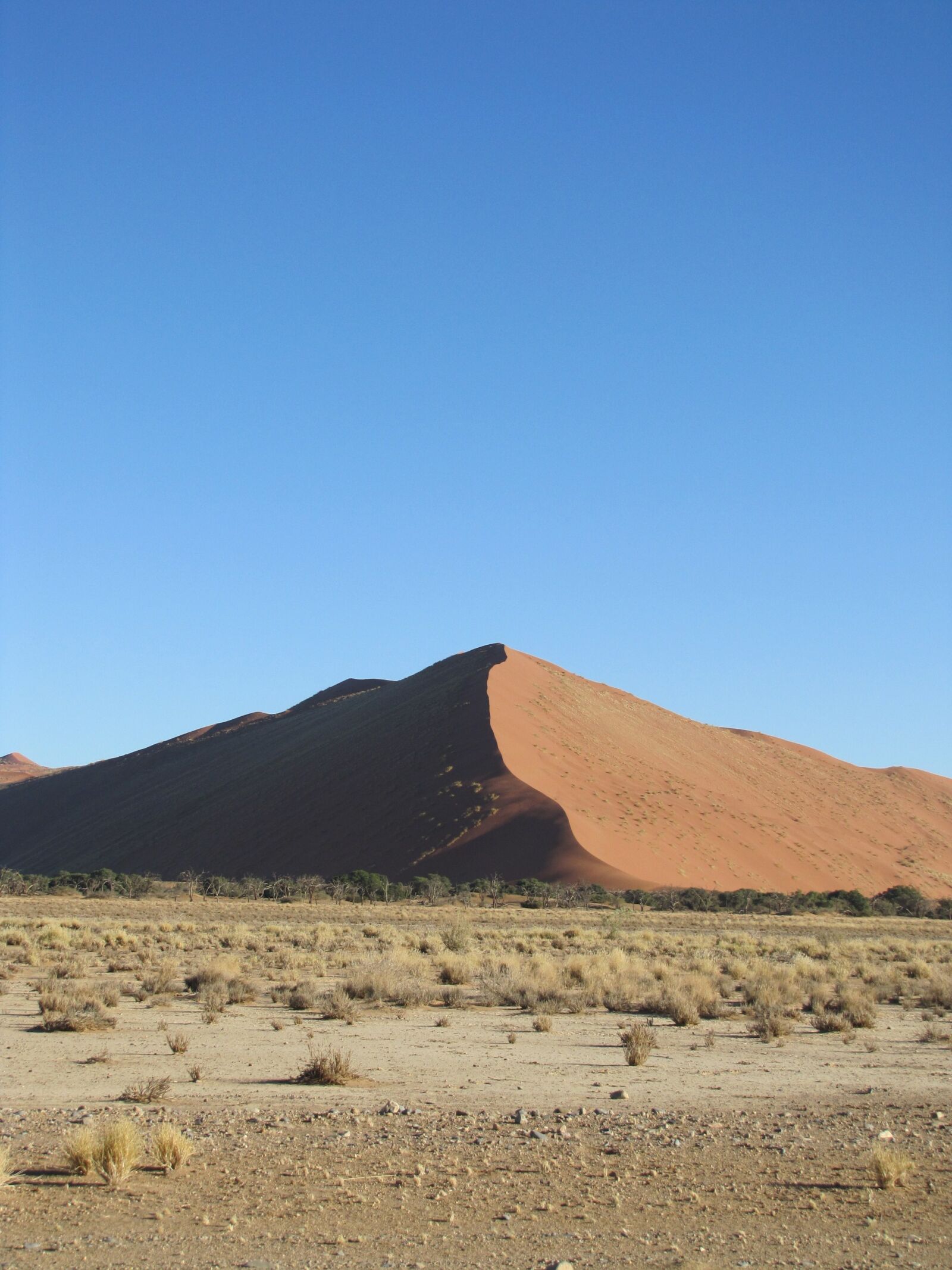 Canon PowerShot SX20 IS sample photo. Namibia, dune, nature photography