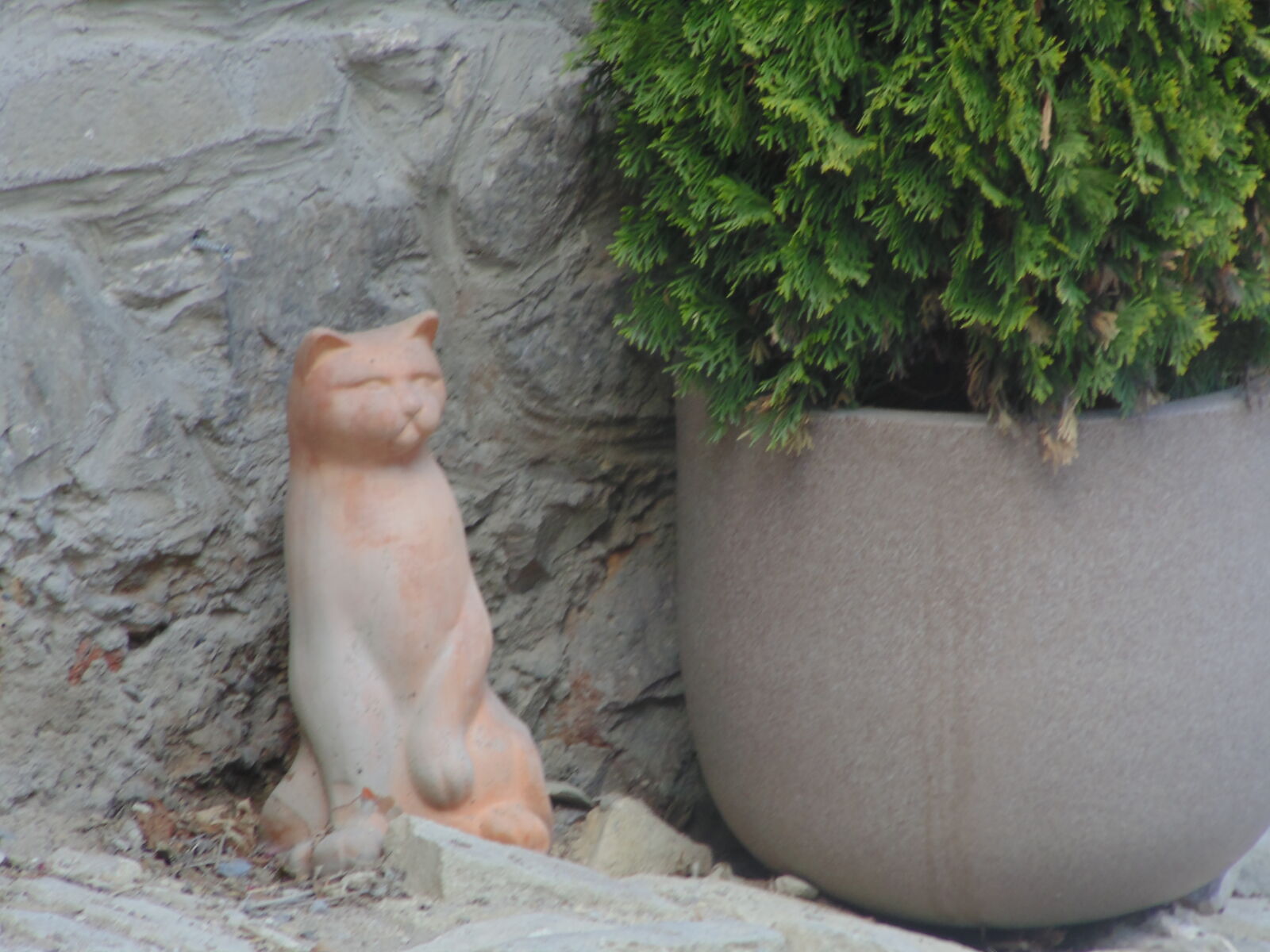 Sony DSC-H100 sample photo