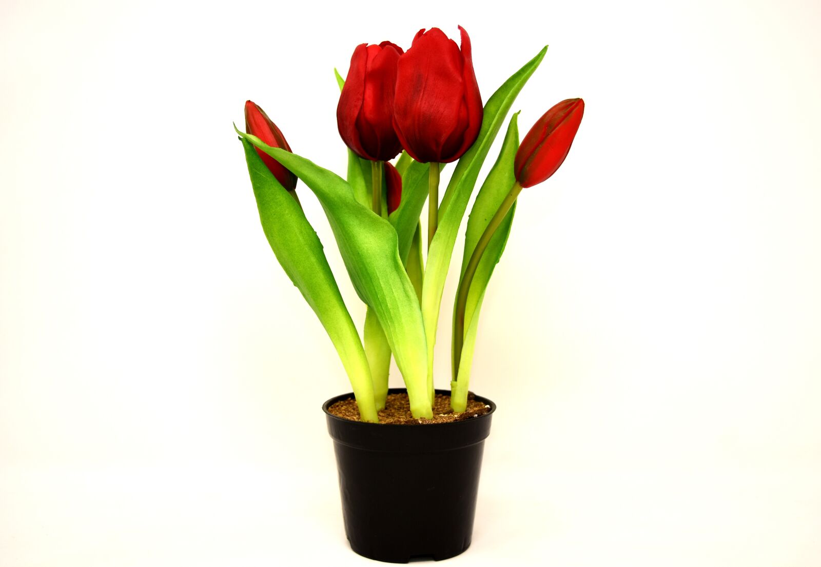 Nikon D7200 sample photo. Tulips, flowers, artificial photography