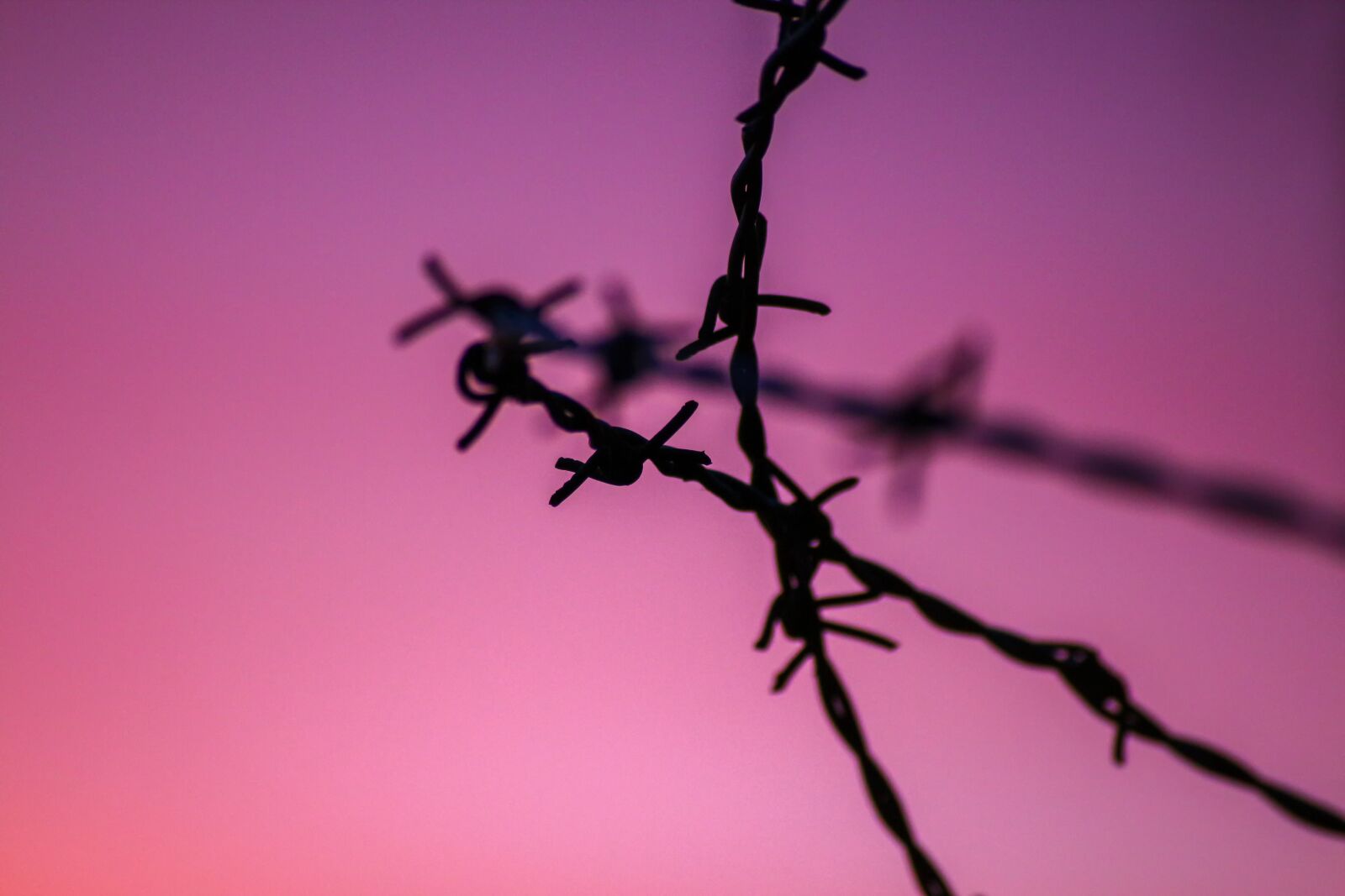 Canon EOS 650D (EOS Rebel T4i / EOS Kiss X6i) sample photo. Barbed wire, backlighting, mood photography