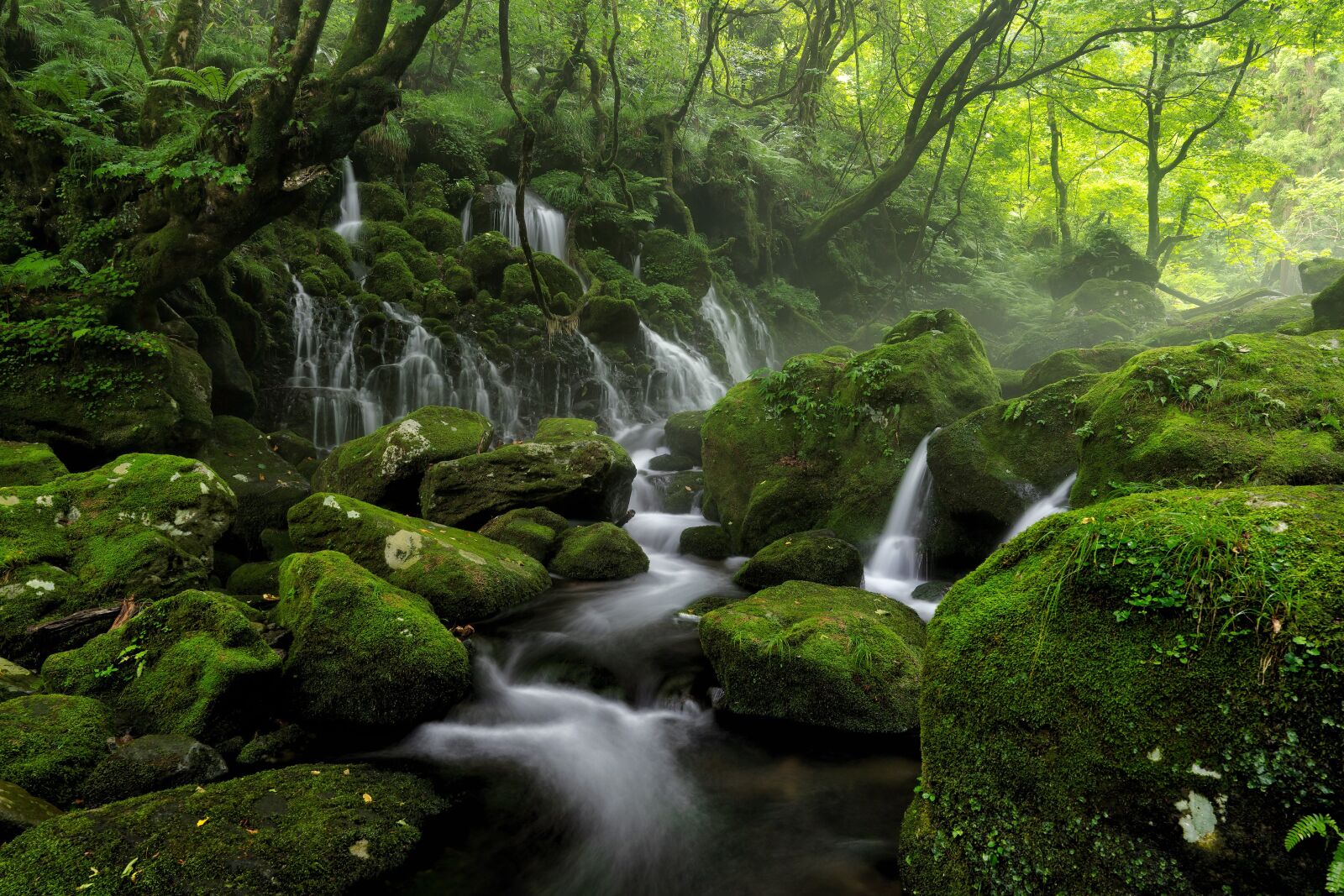 Sony a7R IV sample photo. River, brook, spring photography
