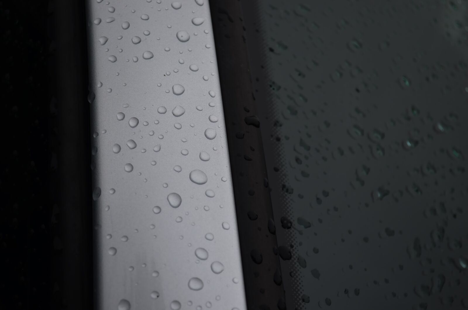 Nikon D5100 sample photo. Tint, glas, clean photography
