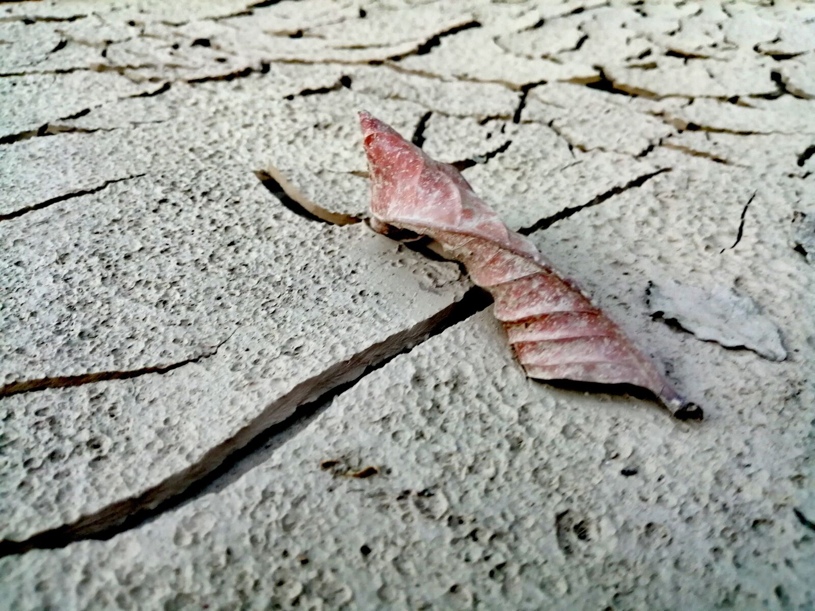 HUAWEI JKM-LX2 sample photo. T kr w, t photography