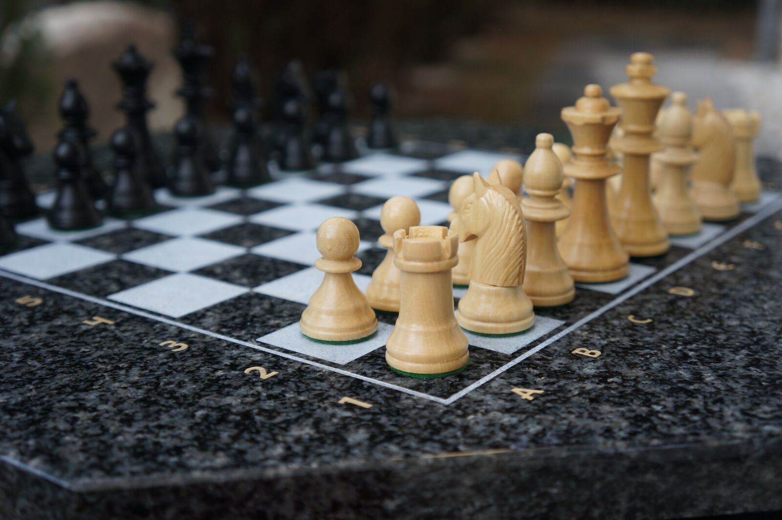 Sony Alpha NEX-5N sample photo. Chess, play, chess board photography