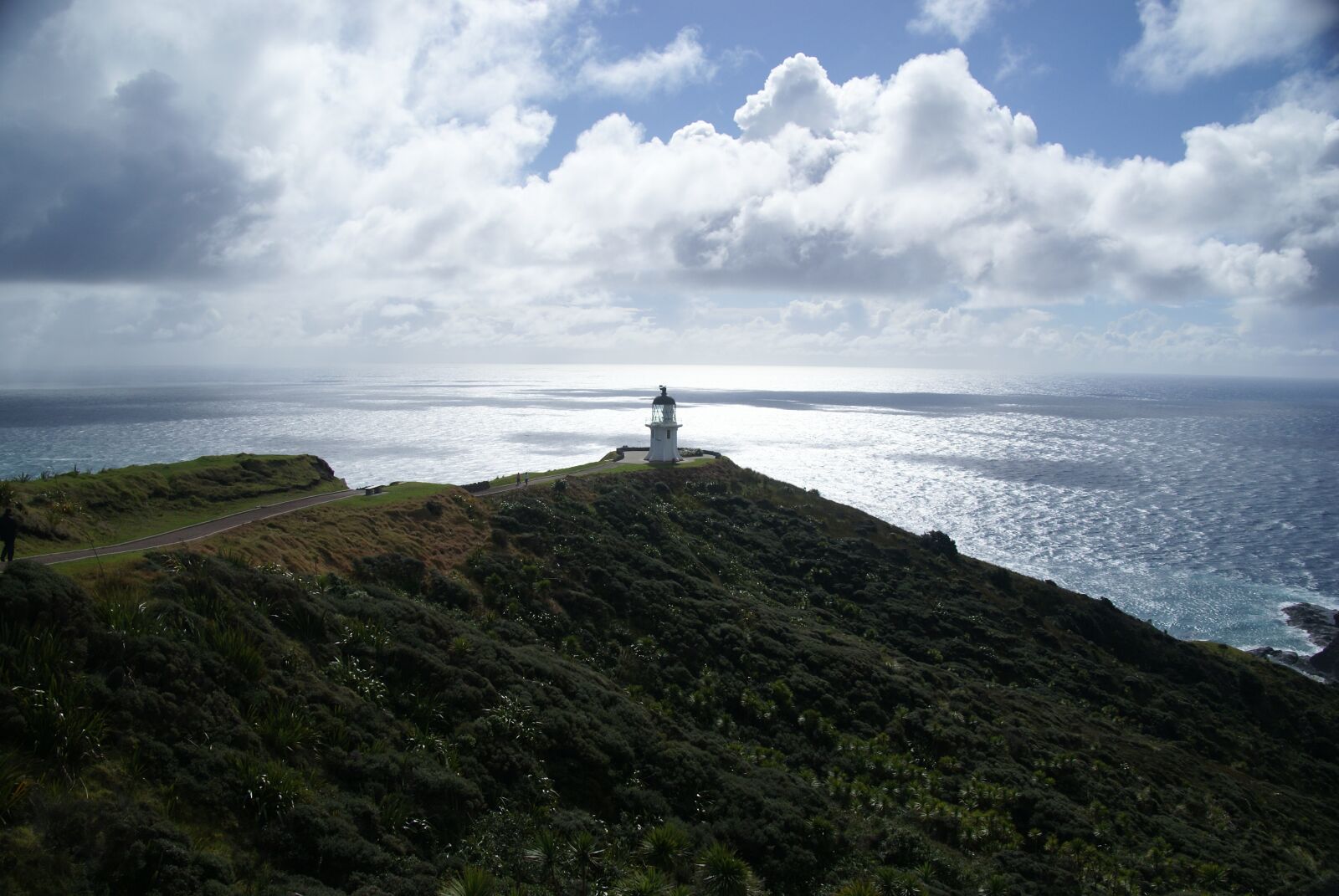 Sony Alpha DSLR-A100 sample photo. August 2009, nz, cape reinga photography