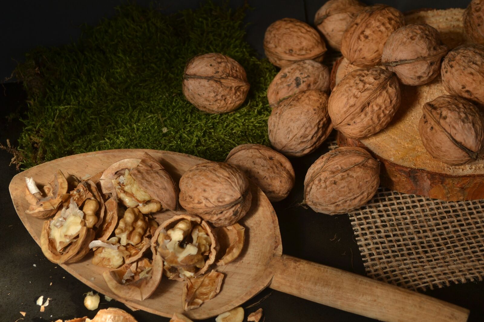 Nikon D3100 sample photo. Nuts, autumn, brown photography