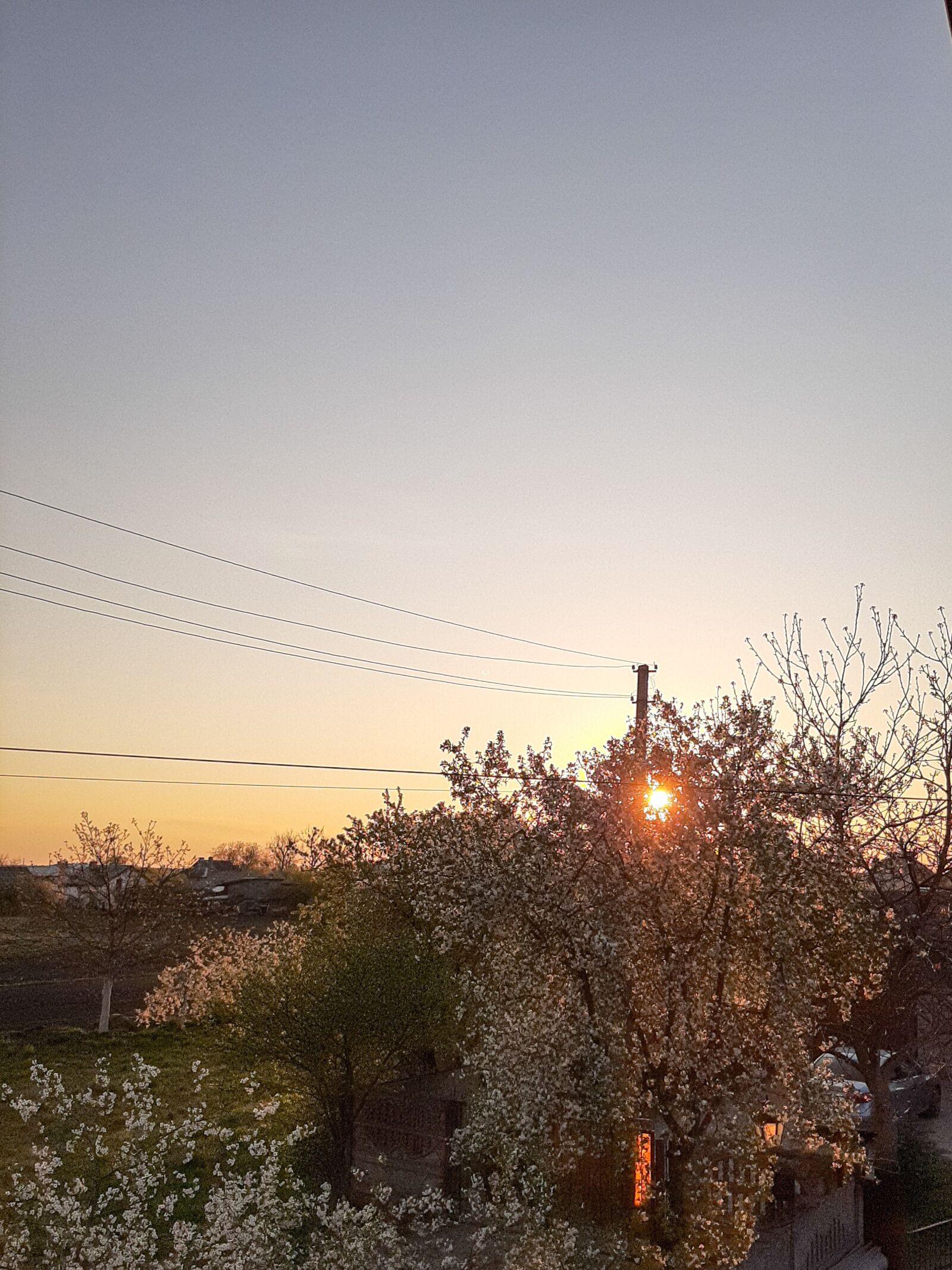 Samsung Galaxy A50 sample photo. The gathering, sun, nature photography