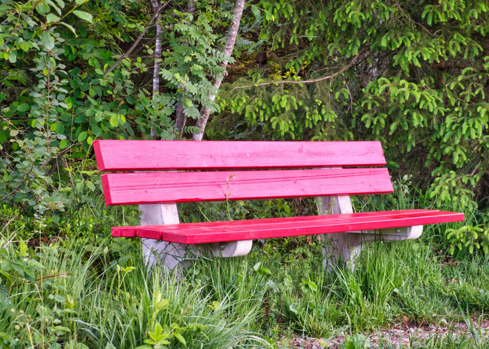 Nikon D7500 sample photo. Bank, bench, red photography