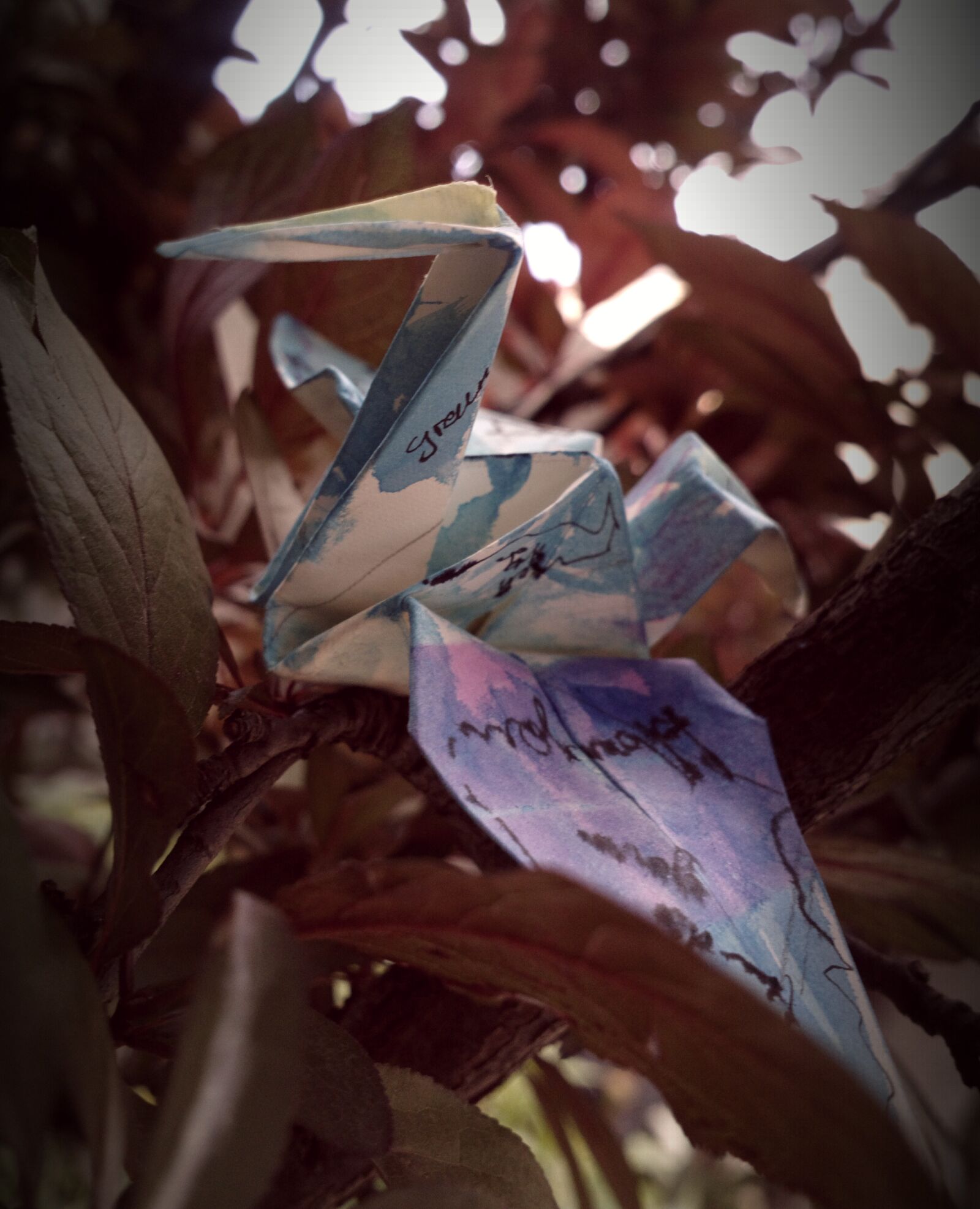 Nokia 808 PureView sample photo. Bird, conceptual, origami, paper photography