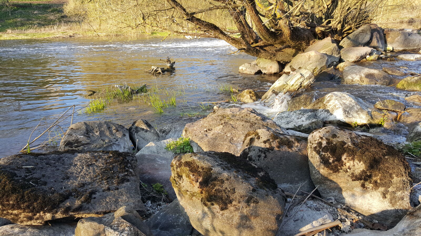 Samsung GALAXY S6 edge sample photo. River photography