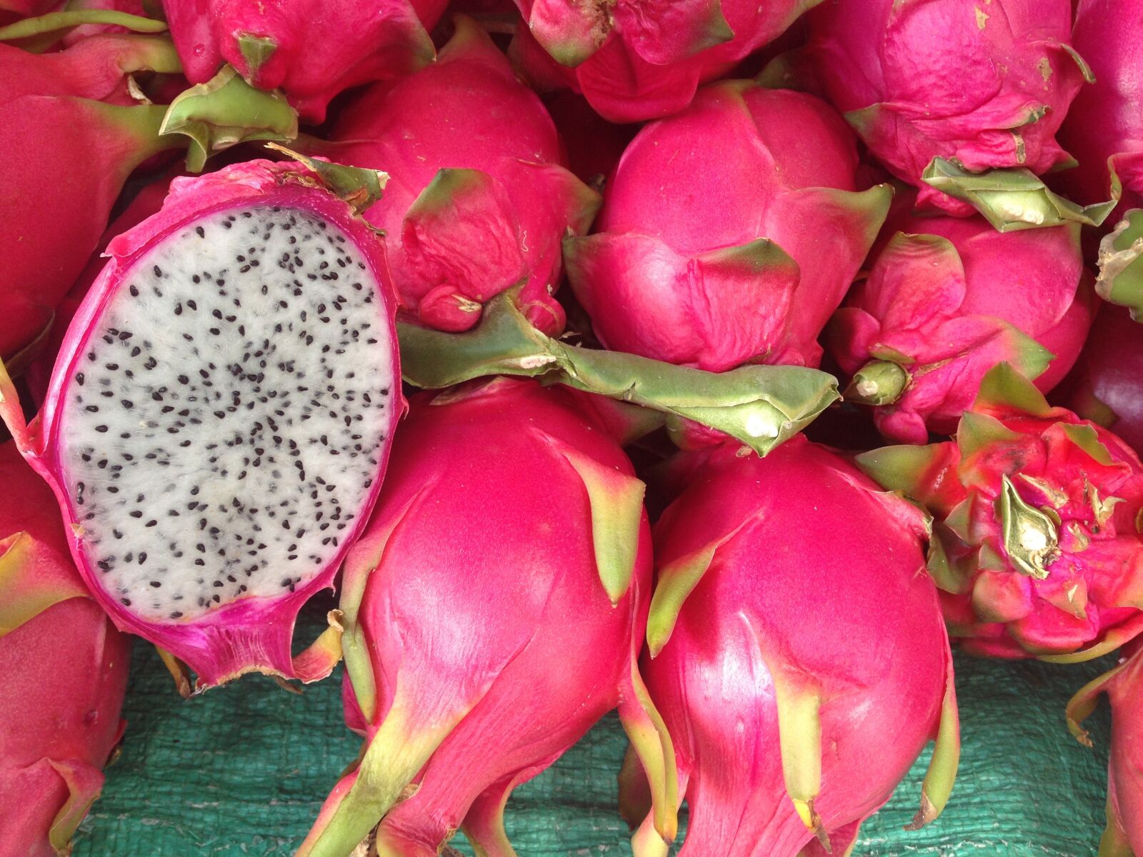 iPhone 5 back camera 4.12mm f/2.4 sample photo. Dragonfruit, fruit, dragon photography