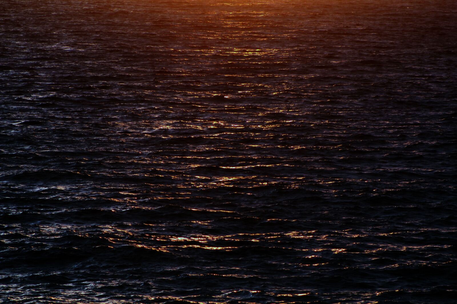 Canon EF75-300mm f/4-5.6 sample photo. Nature, sol, beach photography