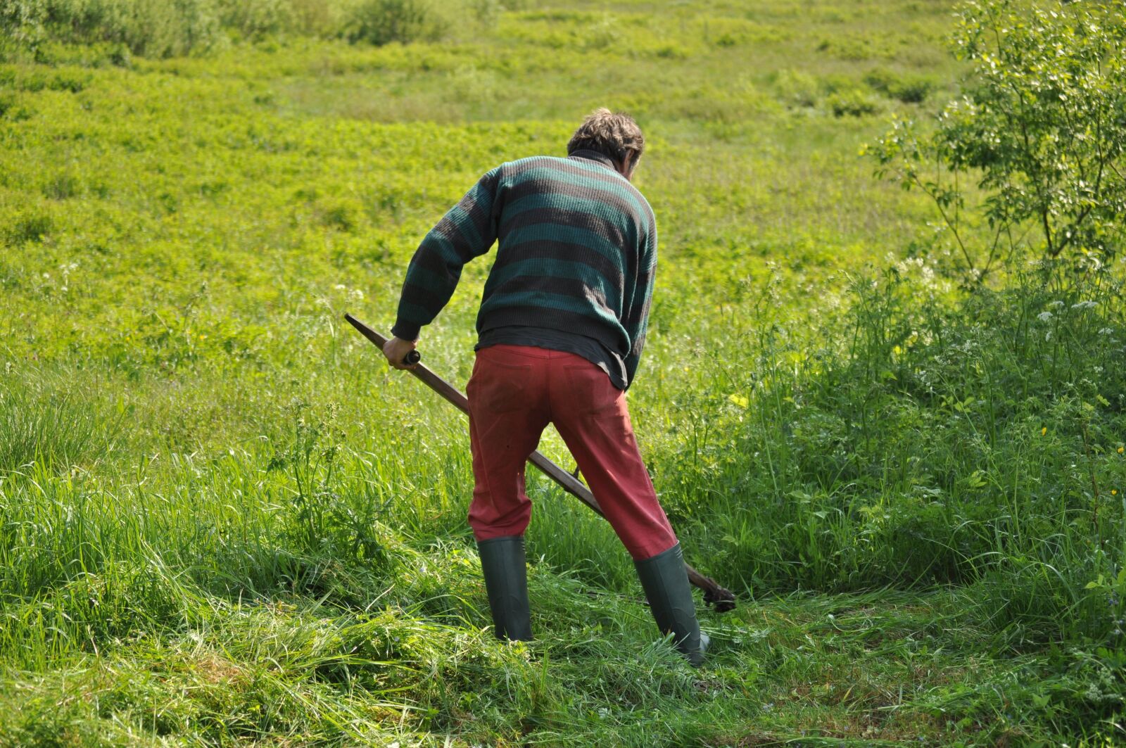 Nikon D5000 sample photo. Mowing, grass, field photography